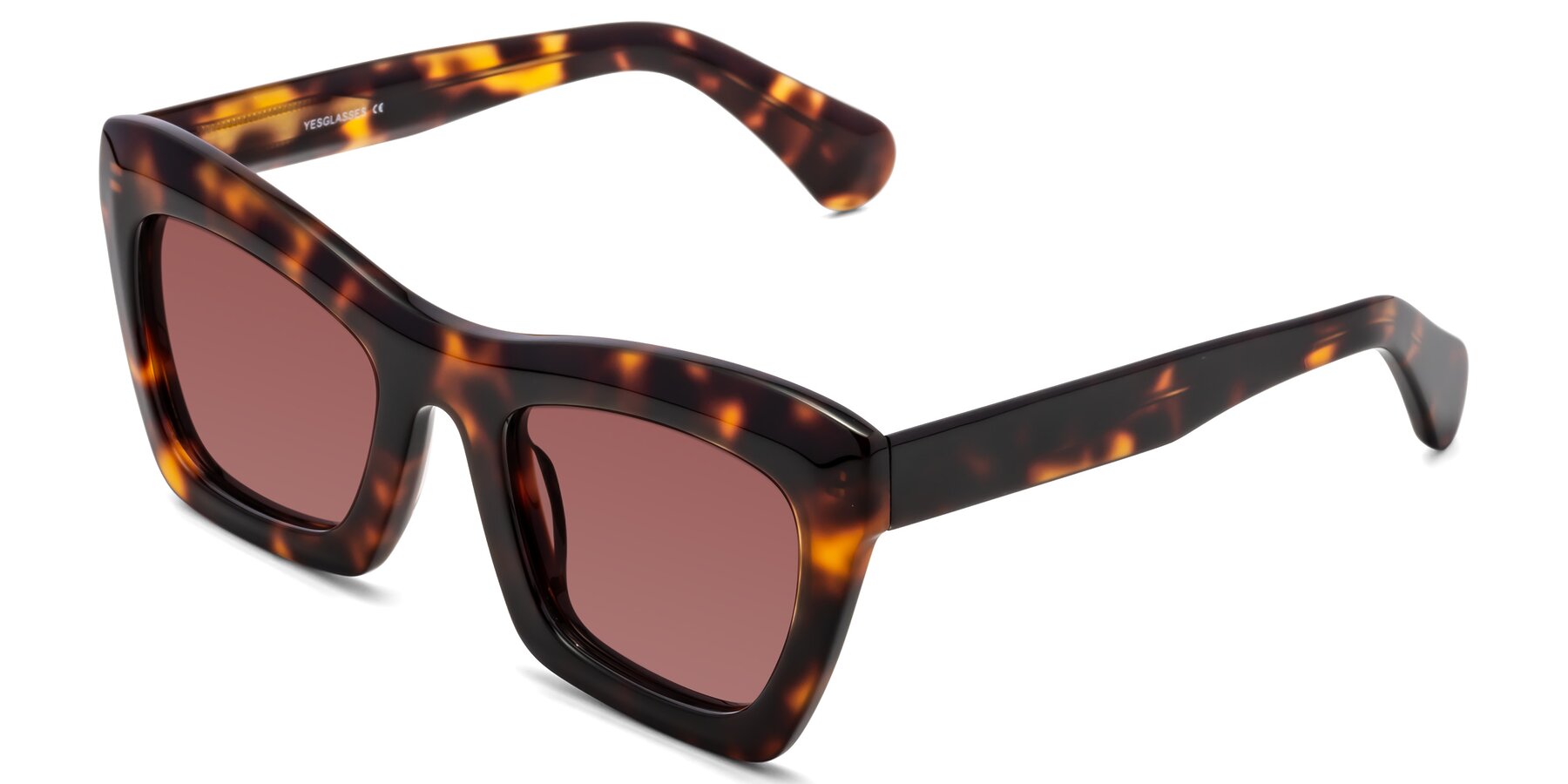 Angle of Randi in Tortoise with Garnet Tinted Lenses