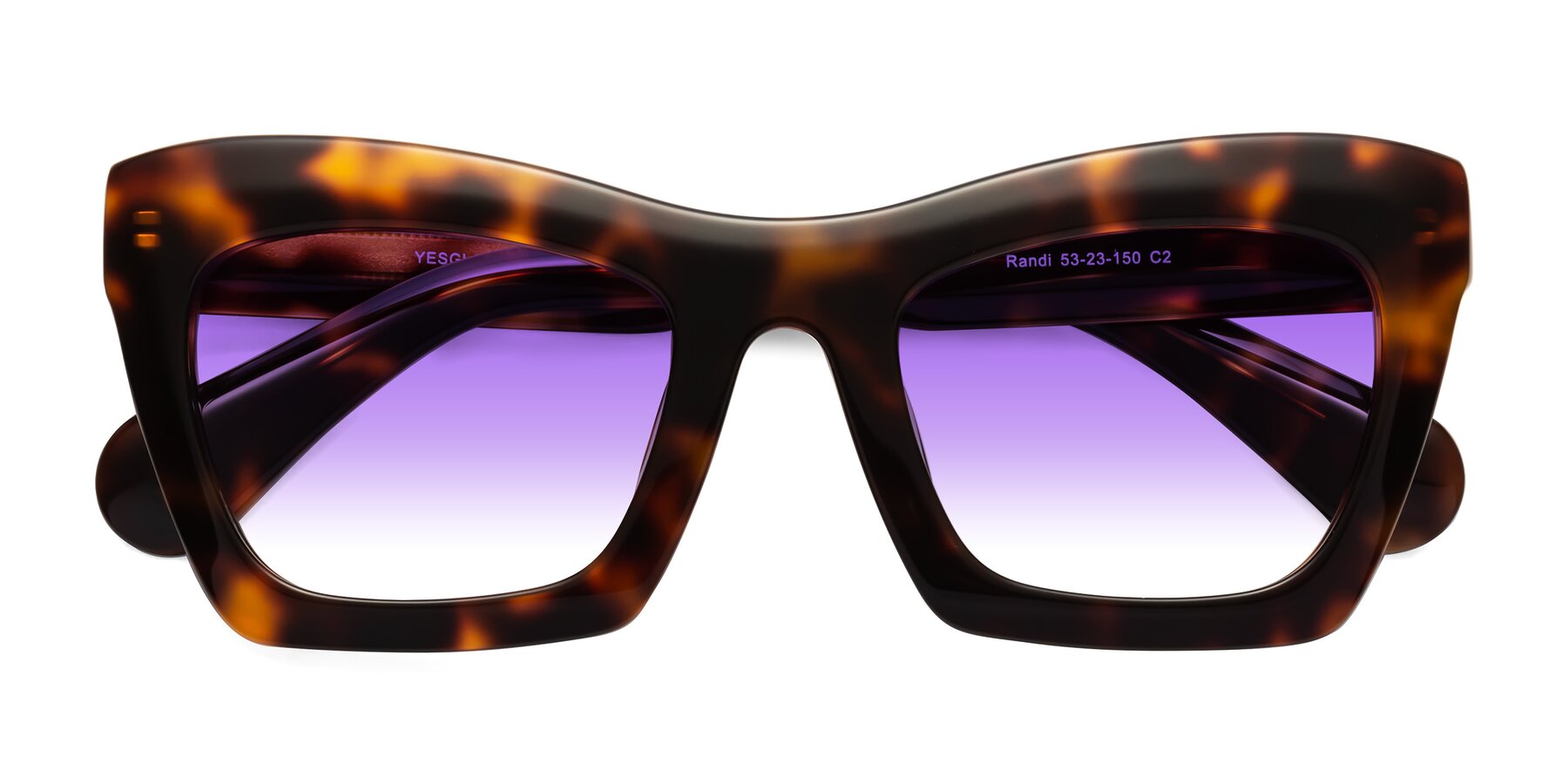 Folded Front of Randi in Tortoise with Purple Gradient Lenses