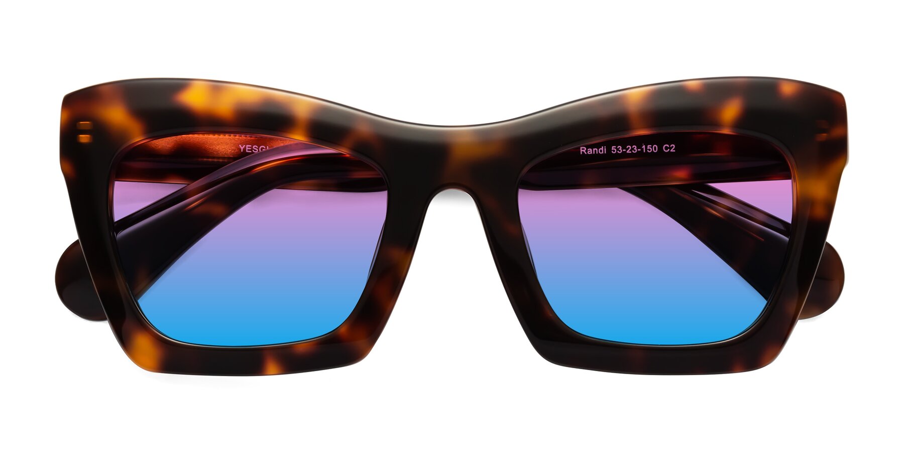 Folded Front of Randi in Tortoise with Pink / Blue Gradient Lenses