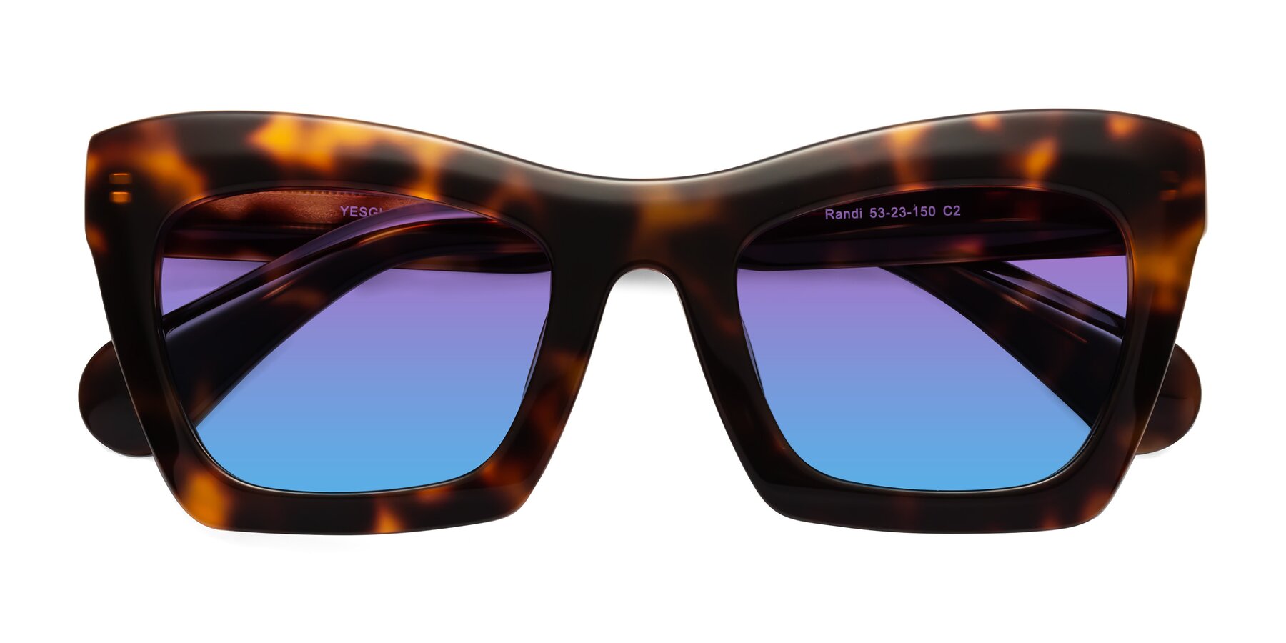 Folded Front of Randi in Tortoise with Purple / Blue Gradient Lenses