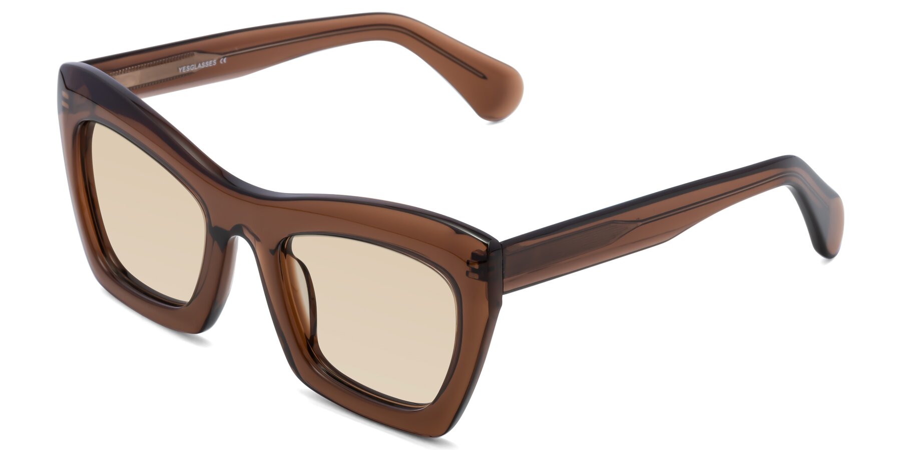 Angle of Randi in Brown with Light Brown Tinted Lenses