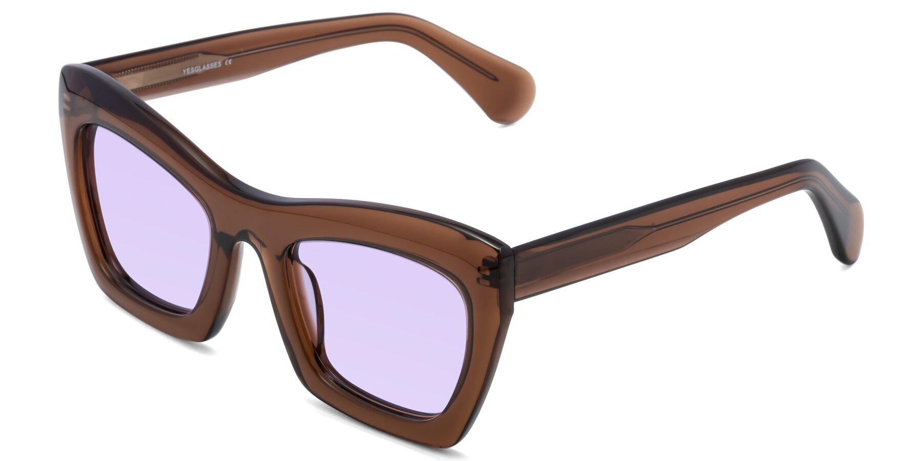 Angle of Randi in Brown with Light Purple Tinted Lenses