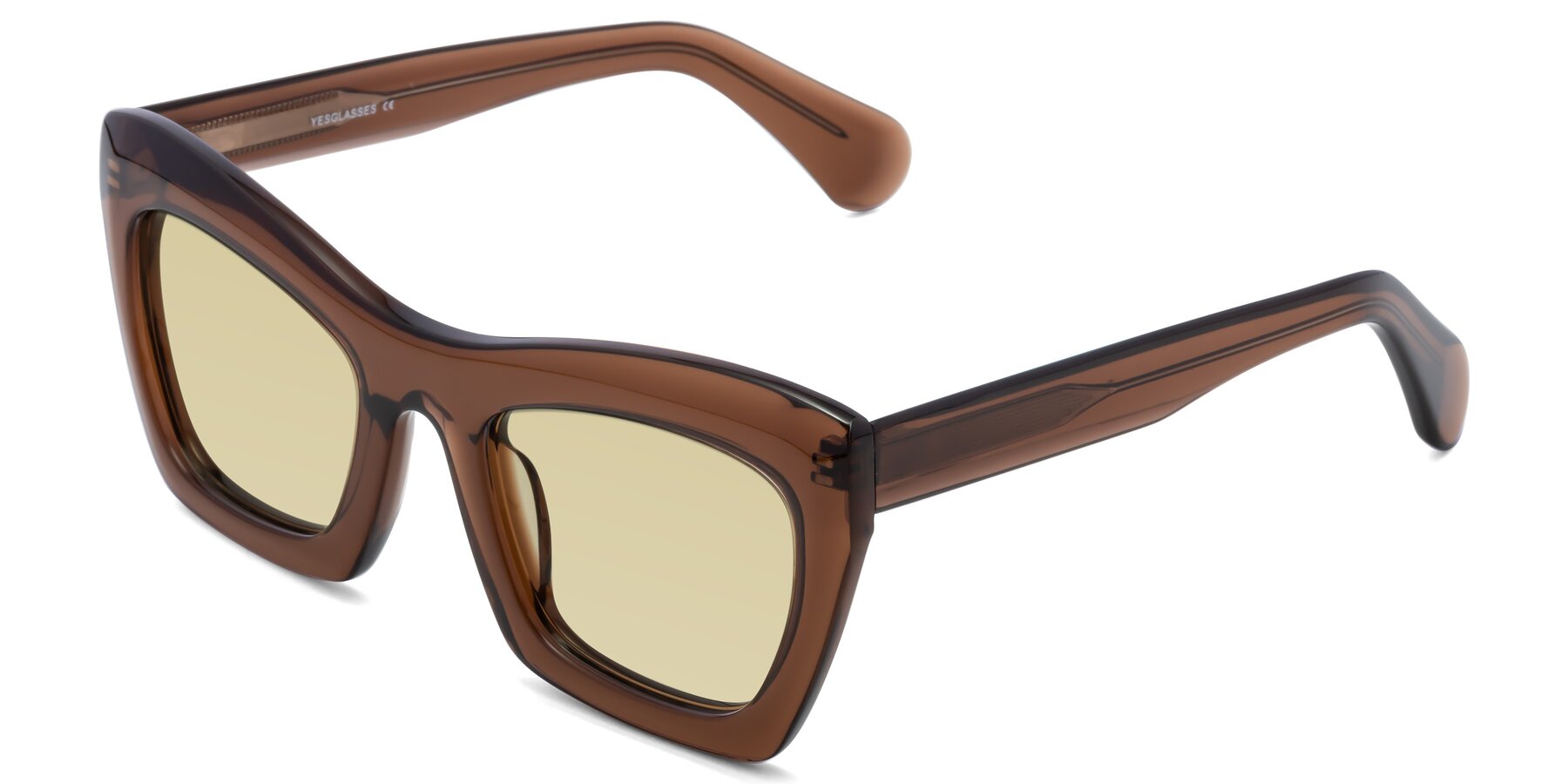 Angle of Randi in Brown with Light Champagne Tinted Lenses