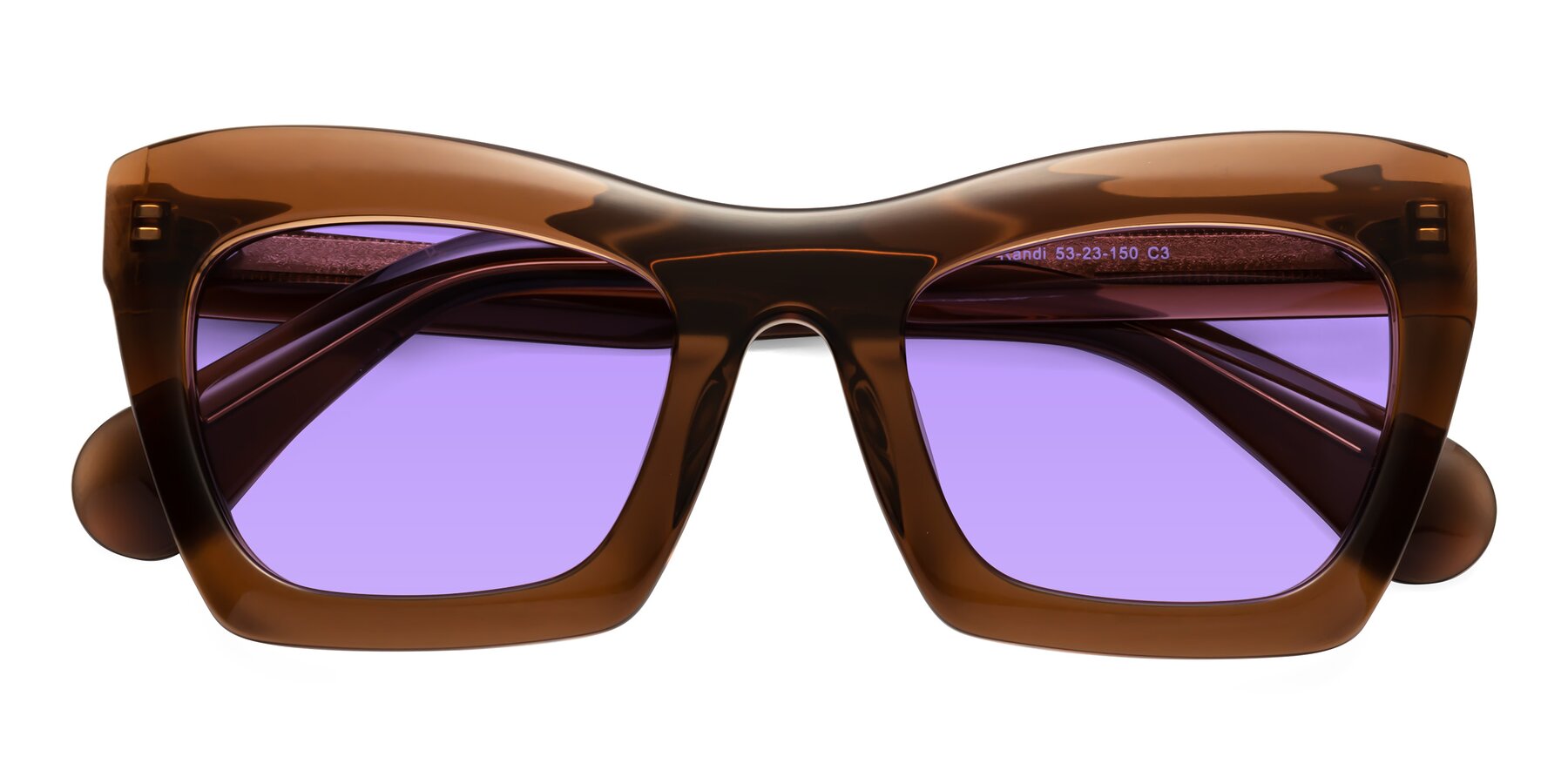 Folded Front of Randi in Brown with Medium Purple Tinted Lenses