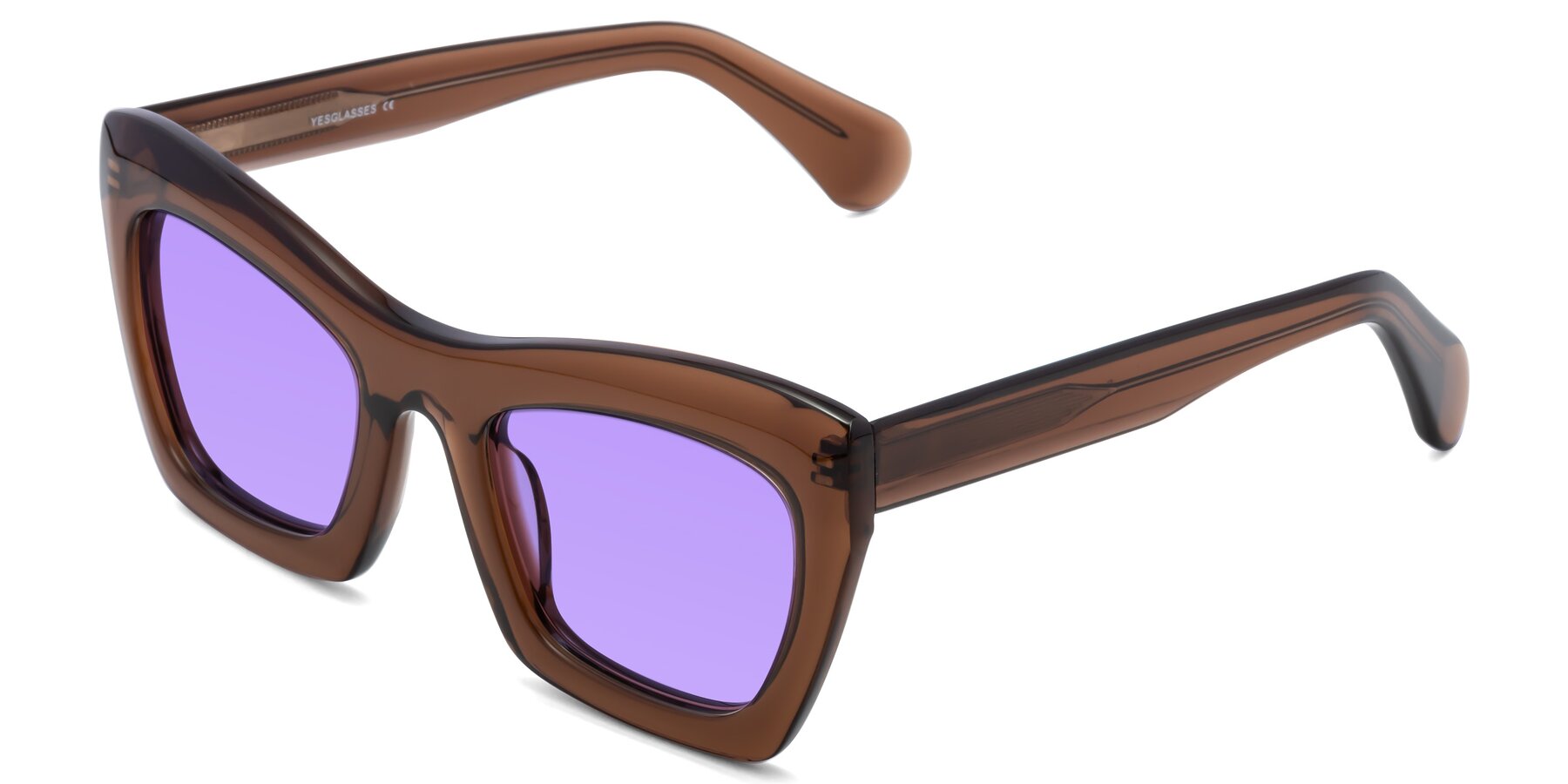 Angle of Randi in Brown with Medium Purple Tinted Lenses