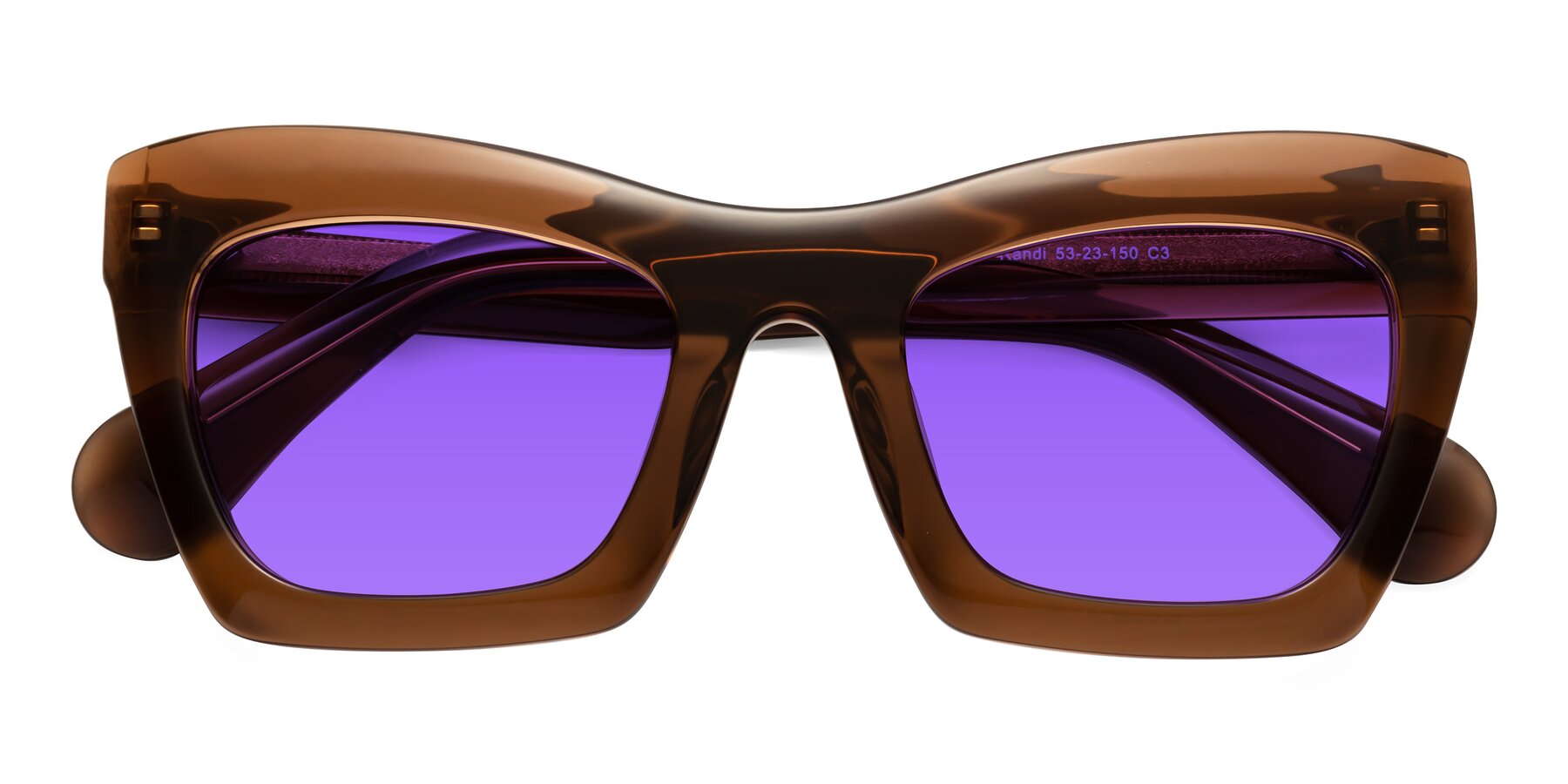 Folded Front of Randi in Brown with Purple Tinted Lenses