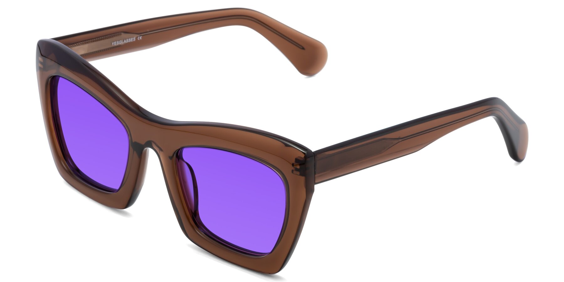Angle of Randi in Brown with Purple Tinted Lenses
