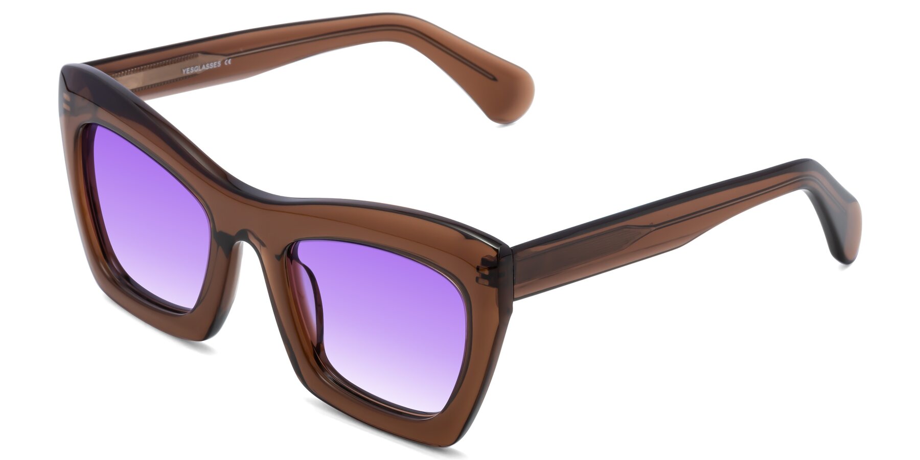 Angle of Randi in Brown with Purple Gradient Lenses