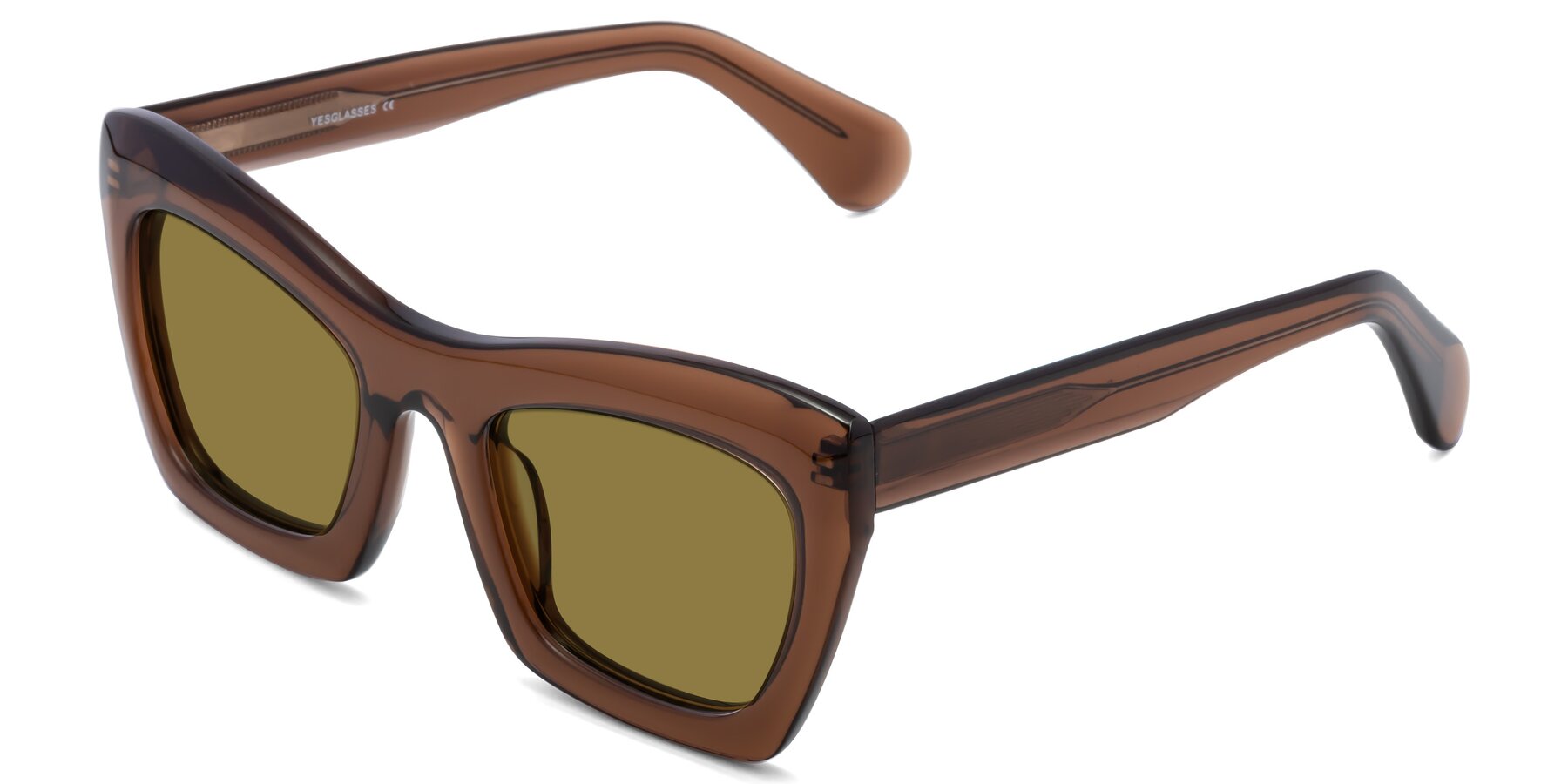 Angle of Randi in Brown with Brown Polarized Lenses