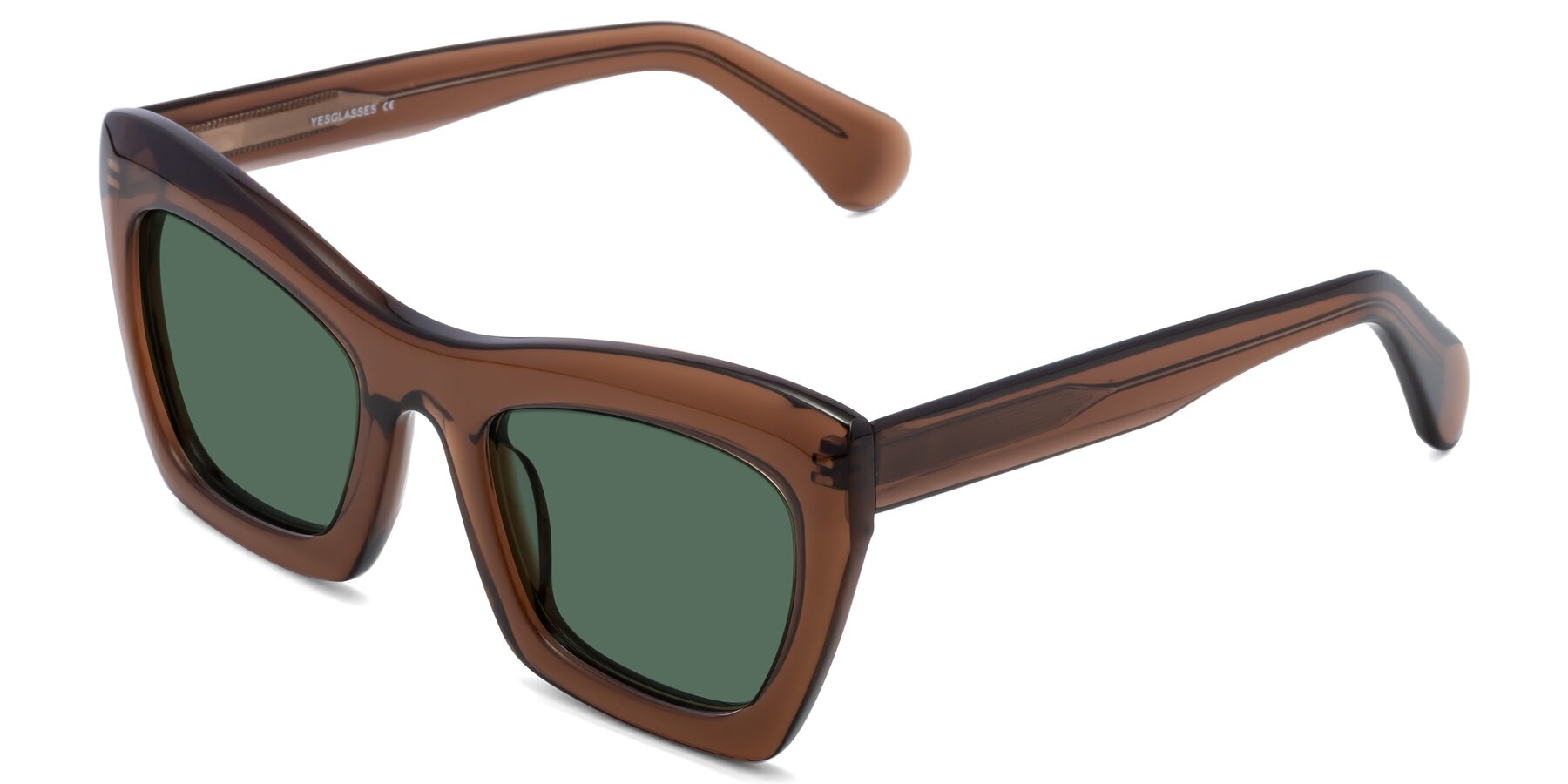 Angle of Randi in Brown with Green Polarized Lenses