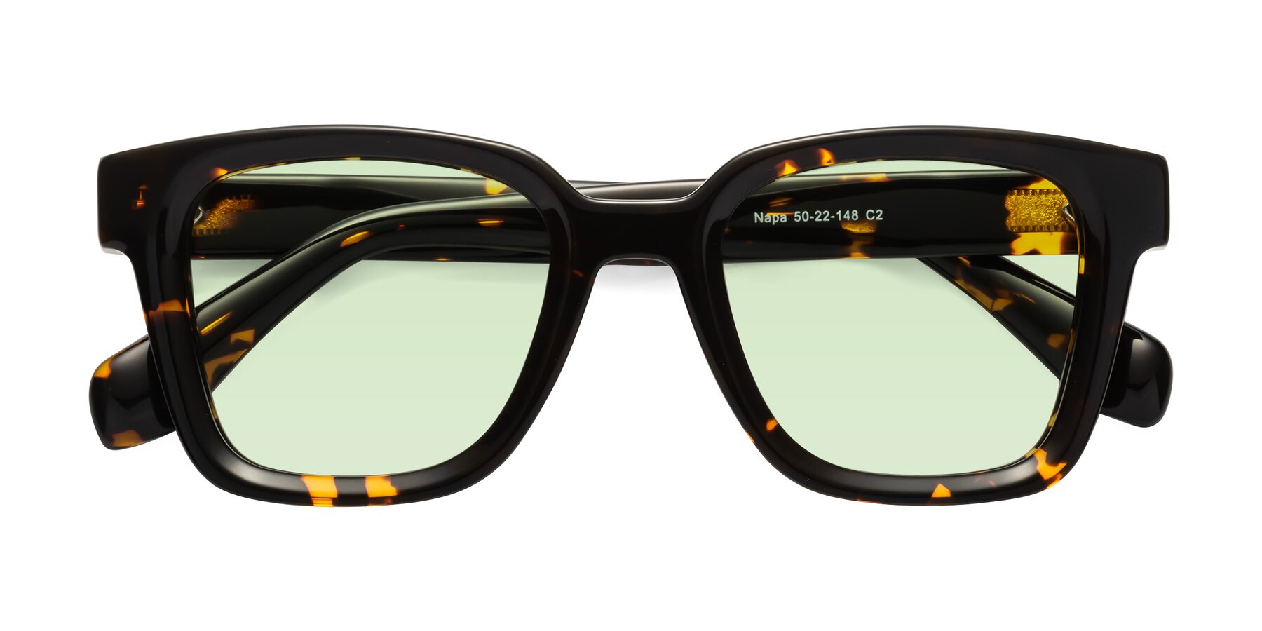 Folded Front of Napa in Tortoise with Light Green Tinted Lenses