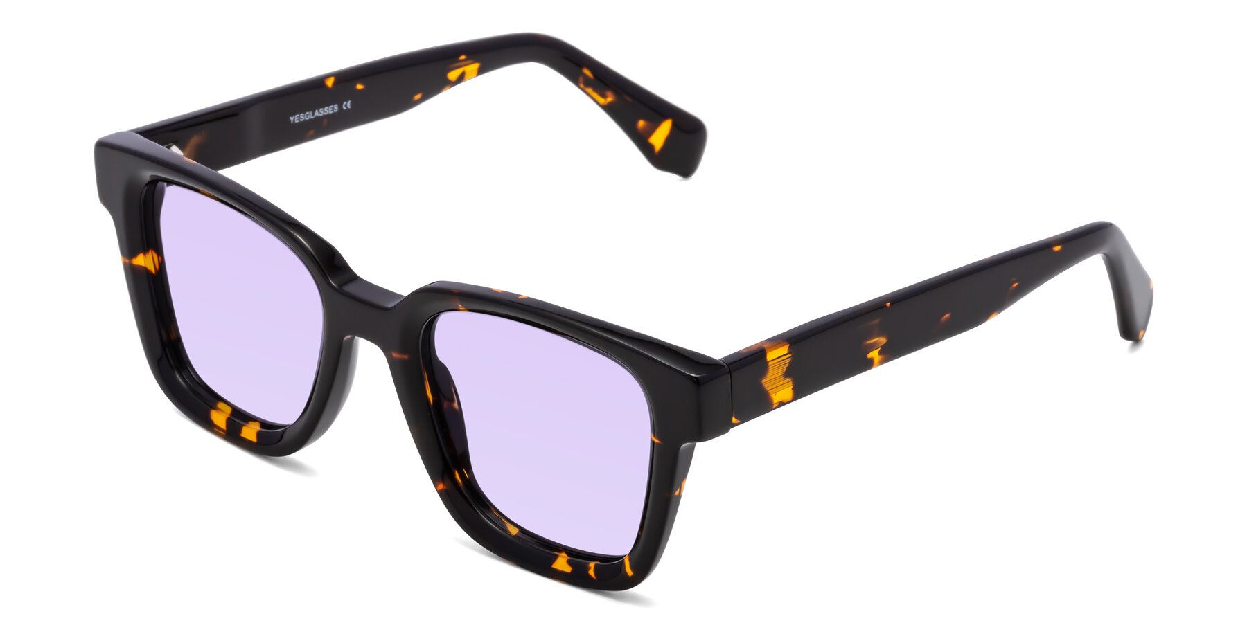 Angle of Napa in Tortoise with Light Purple Tinted Lenses