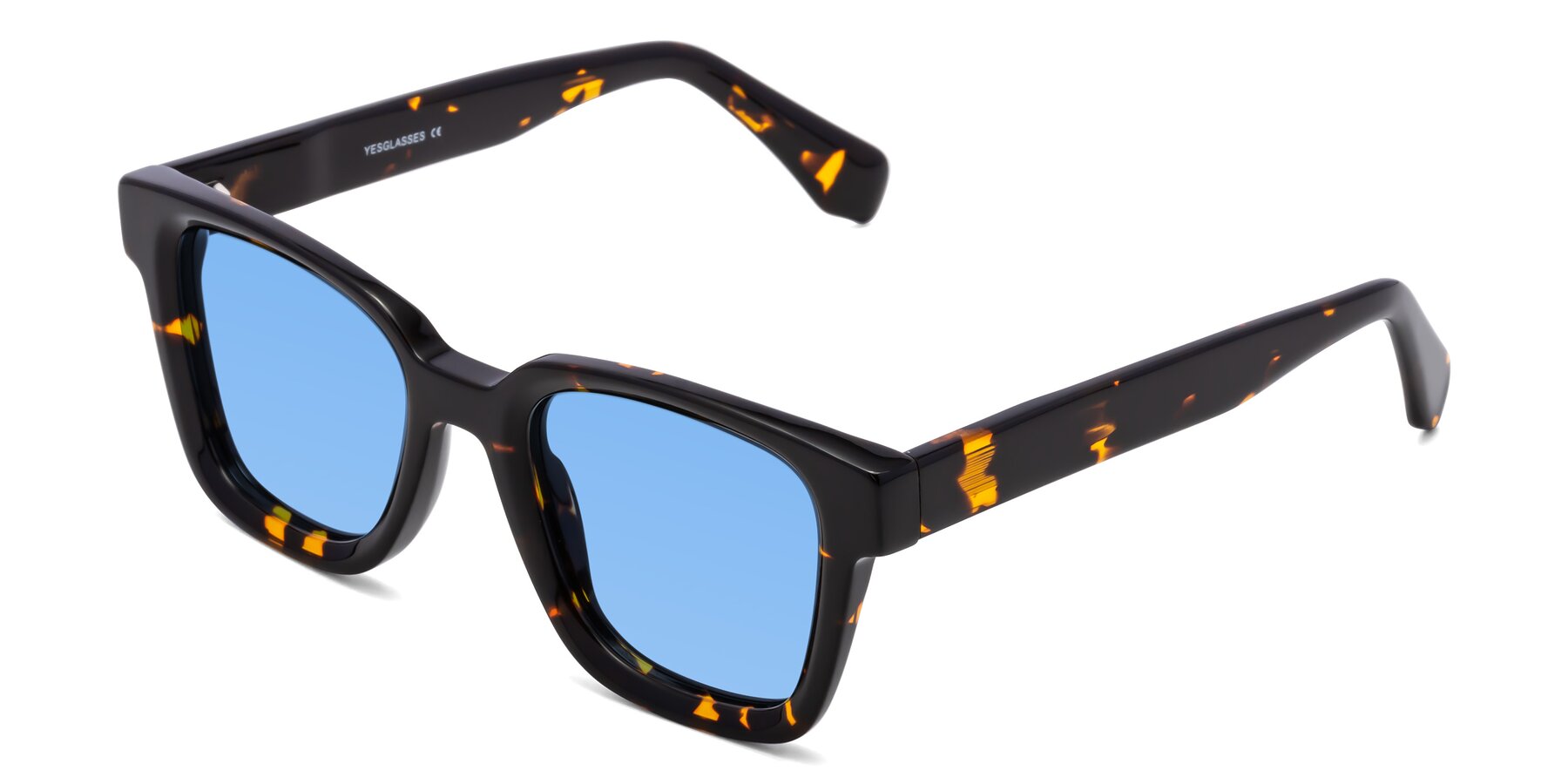Angle of Napa in Tortoise with Medium Blue Tinted Lenses