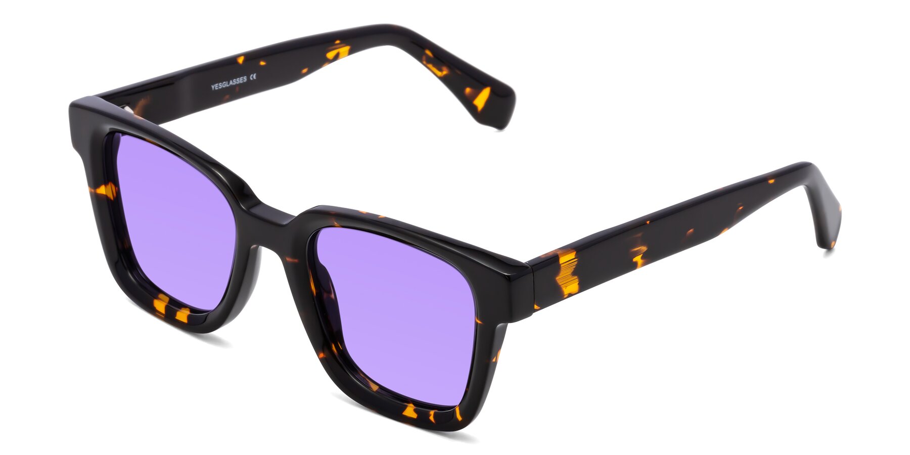 Angle of Napa in Tortoise with Medium Purple Tinted Lenses