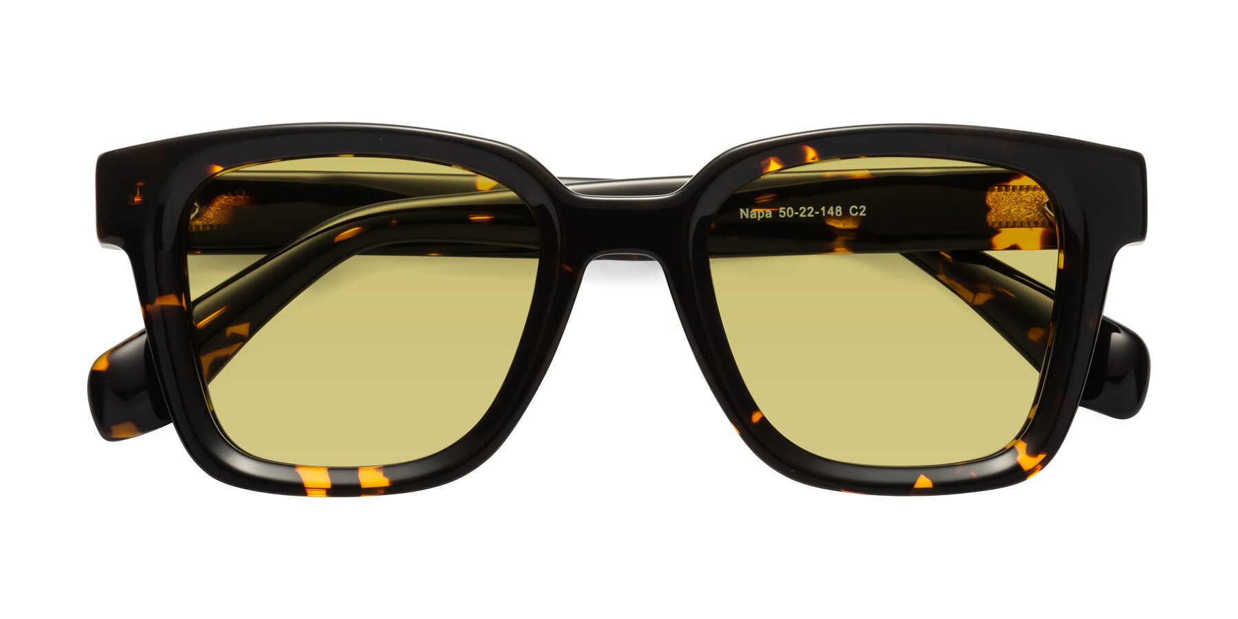 Folded Front of Napa in Tortoise with Medium Champagne Tinted Lenses
