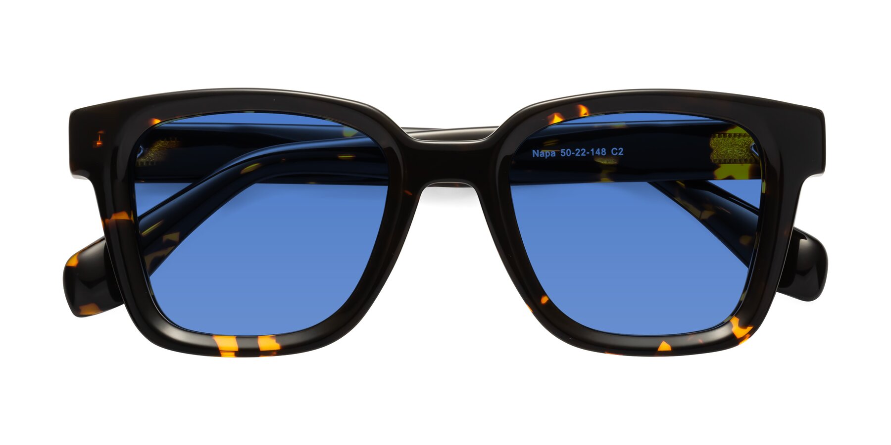 Folded Front of Napa in Tortoise with Blue Tinted Lenses