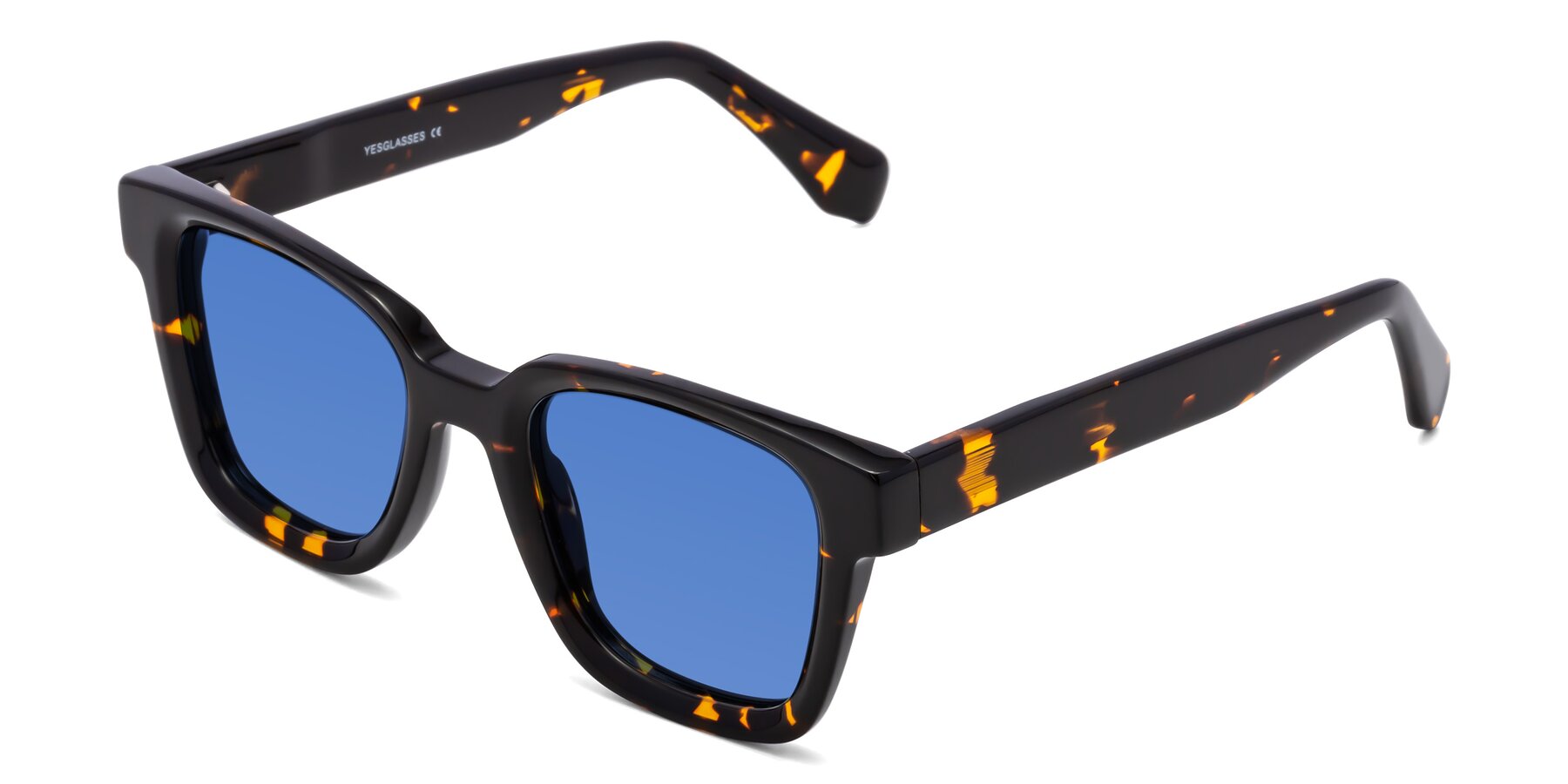 Angle of Napa in Tortoise with Blue Tinted Lenses