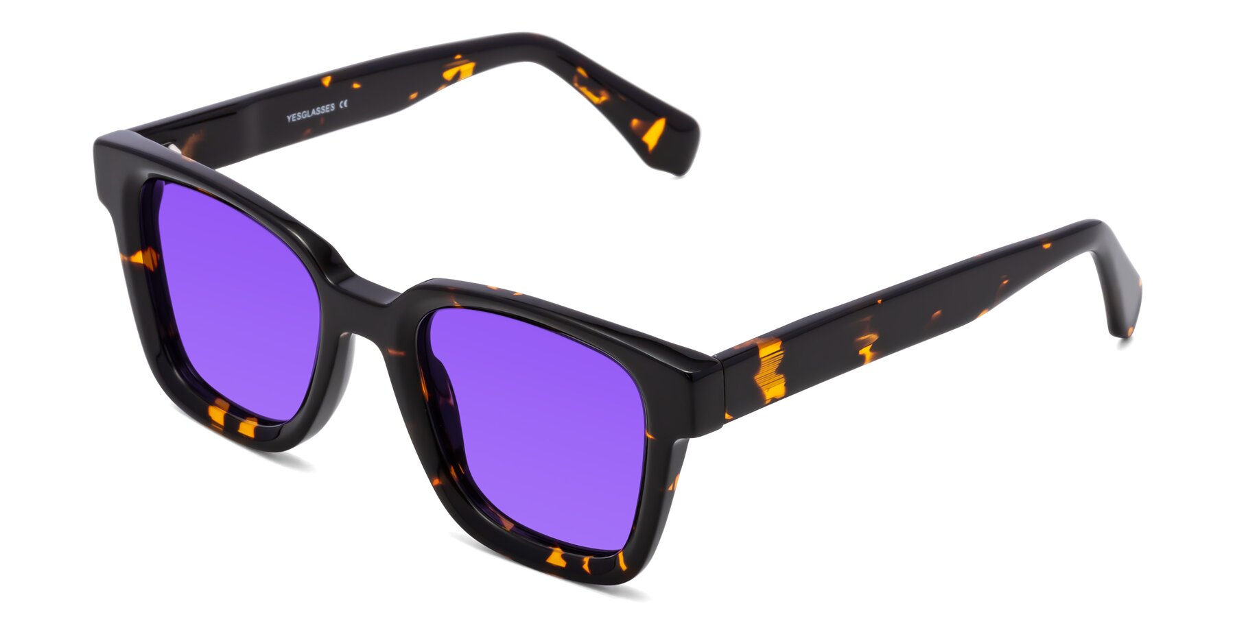 Angle of Napa in Tortoise with Purple Tinted Lenses