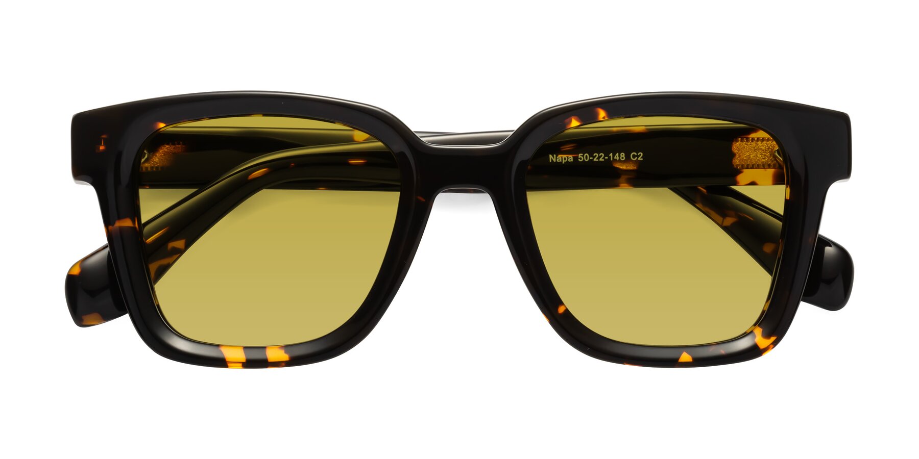 Folded Front of Napa in Tortoise with Champagne Tinted Lenses
