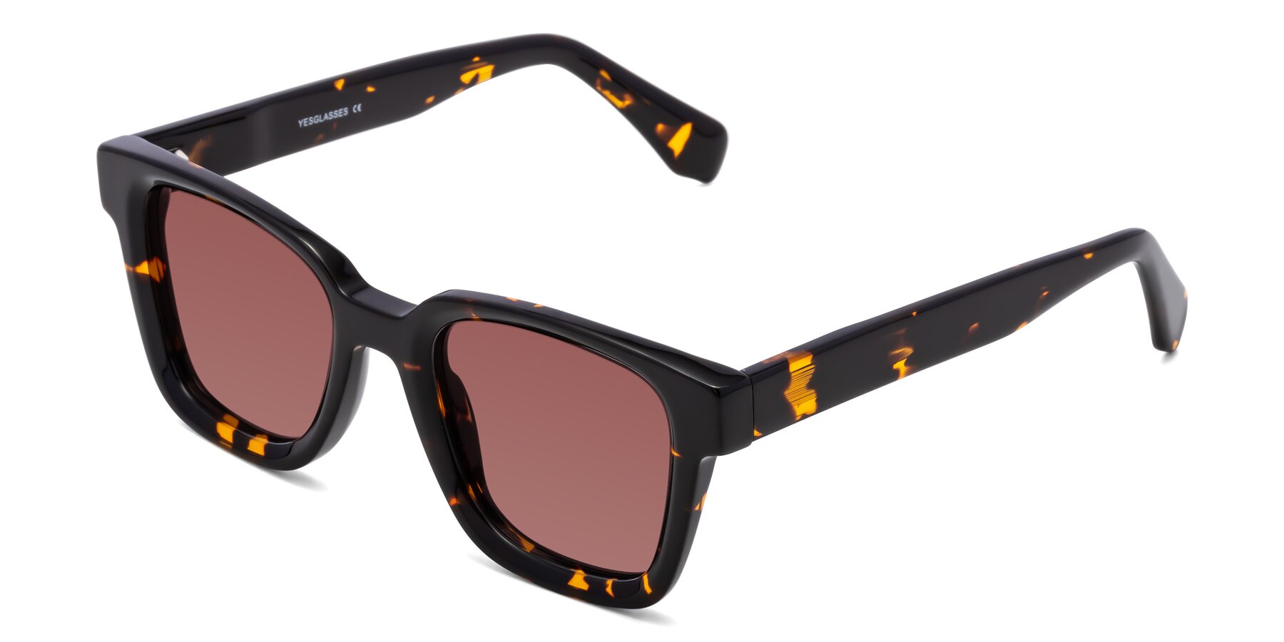 Angle of Napa in Tortoise with Garnet Tinted Lenses