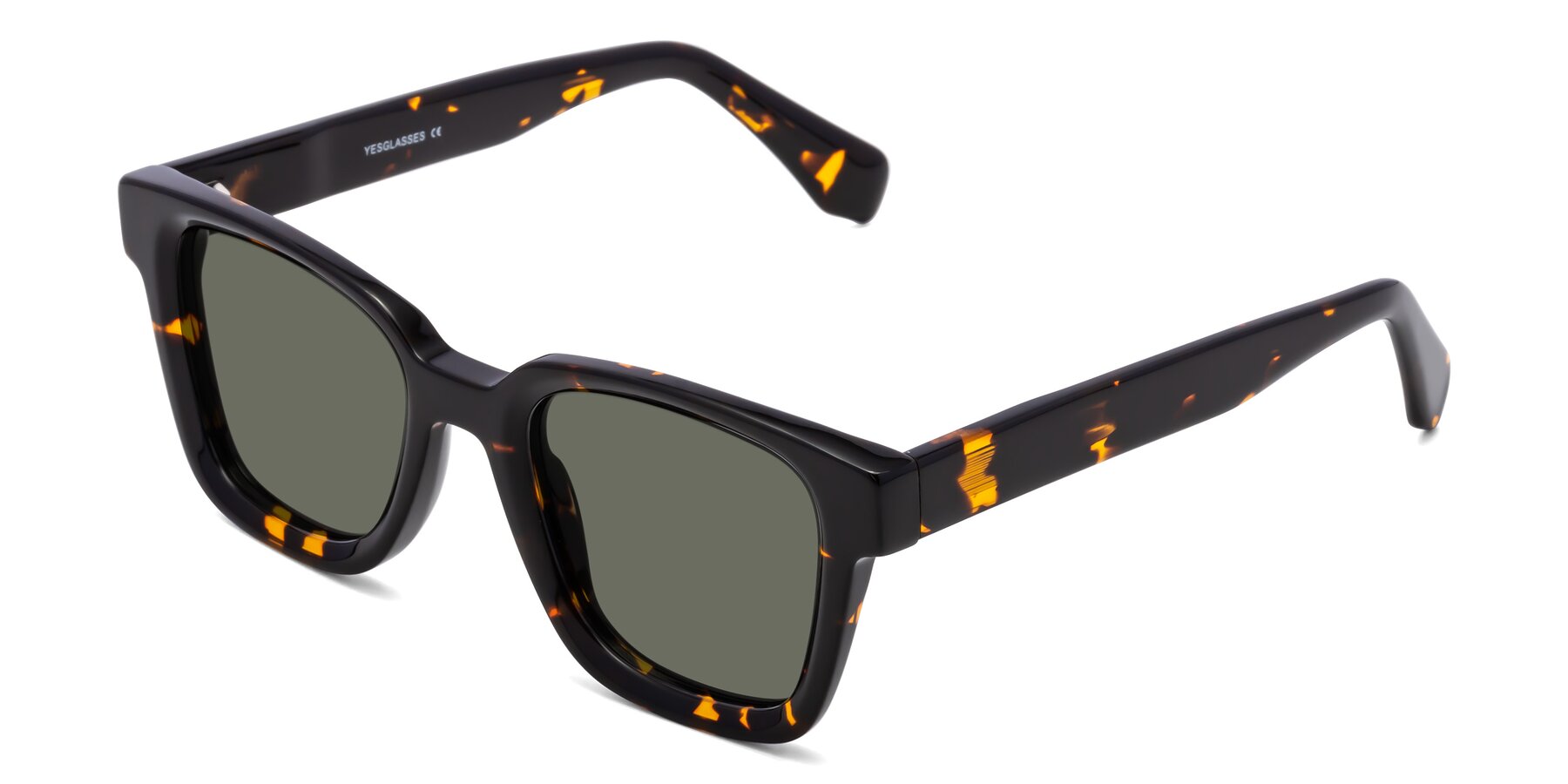 Angle of Napa in Tortoise with Gray Polarized Lenses