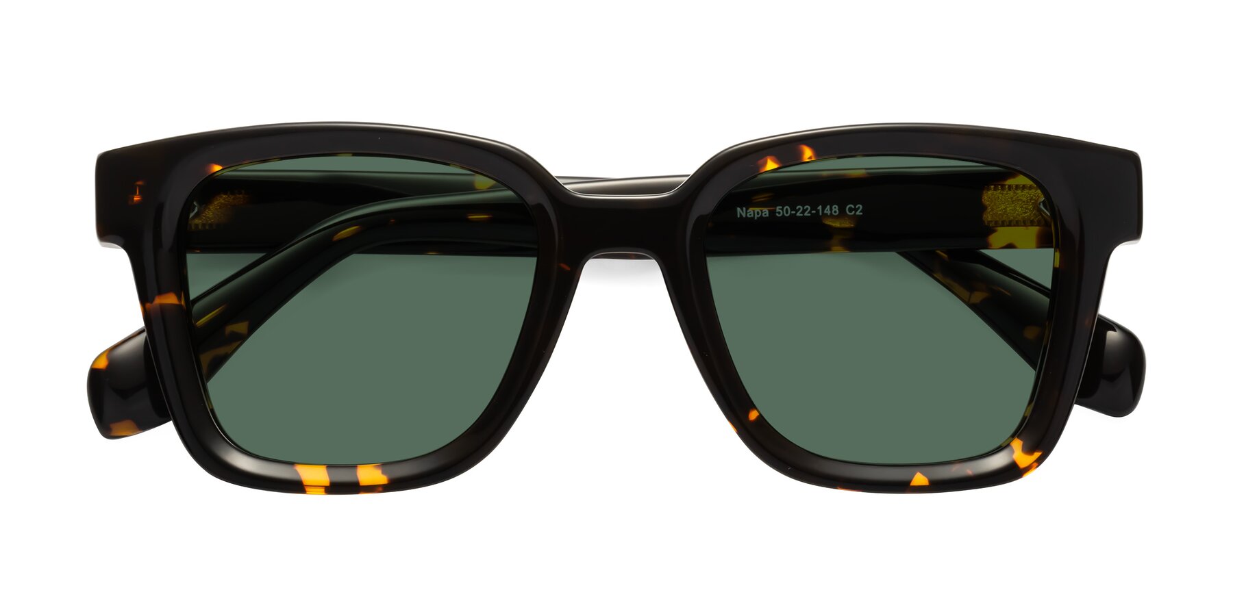 Folded Front of Napa in Tortoise with Green Polarized Lenses