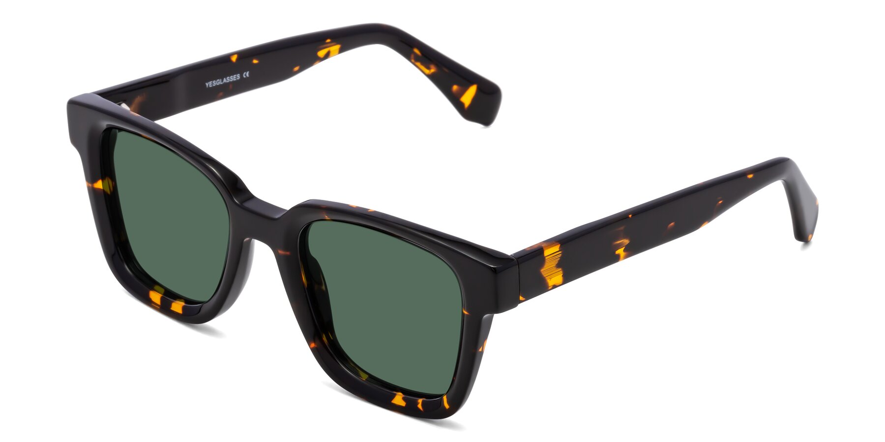 Angle of Napa in Tortoise with Green Polarized Lenses