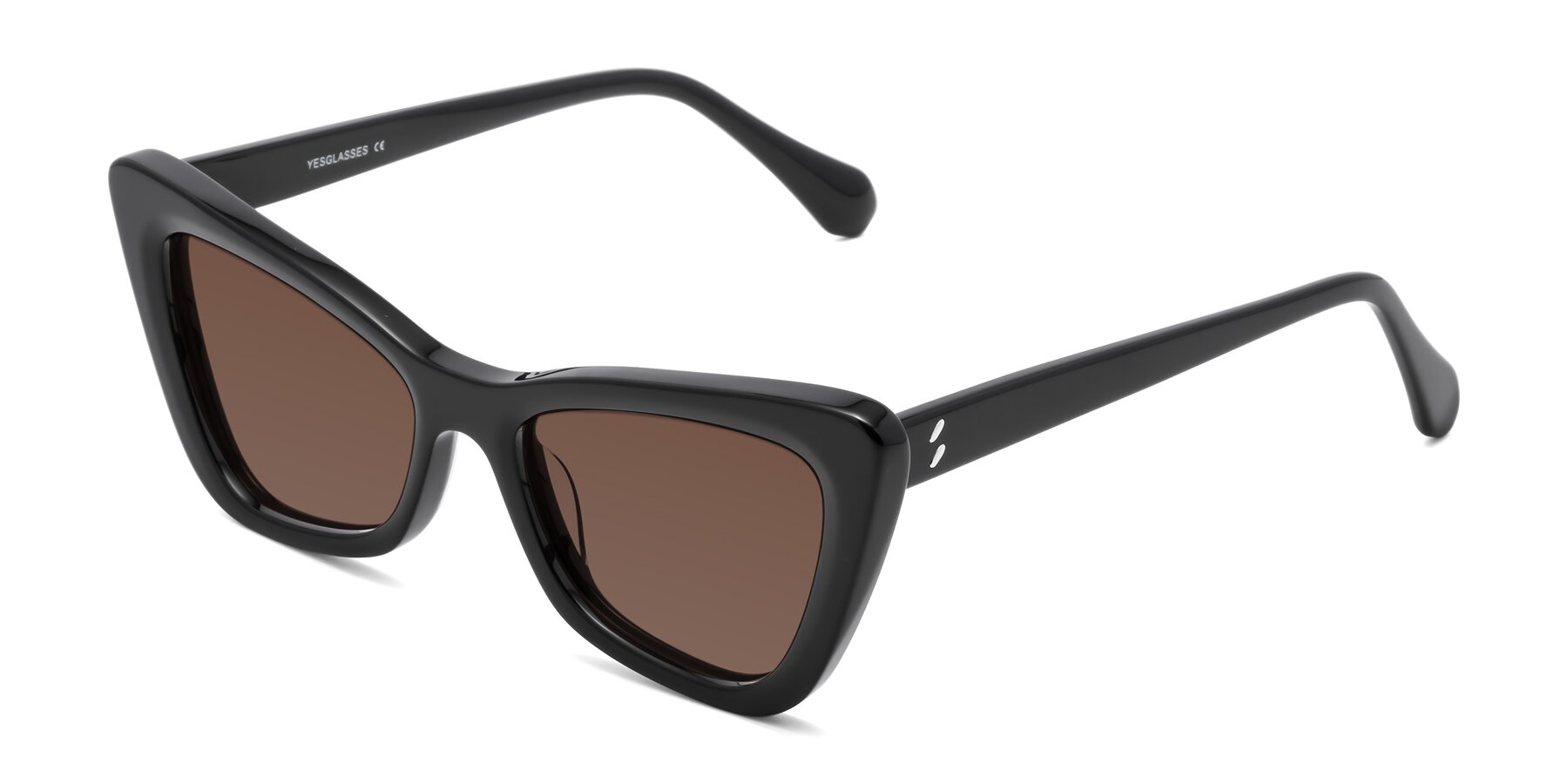 Angle of Rua in Black with Brown Tinted Lenses