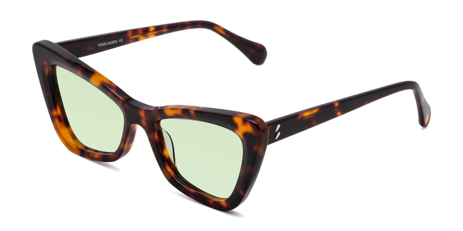 Angle of Rua in Tortoise with Light Green Tinted Lenses