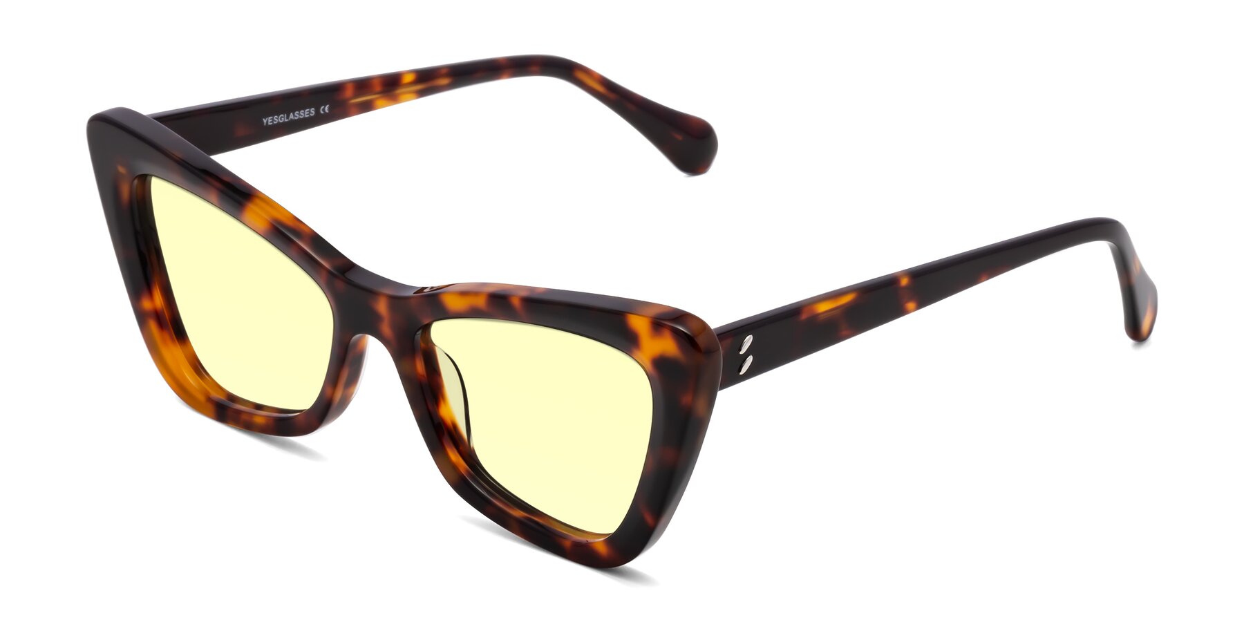 Angle of Rua in Tortoise with Light Yellow Tinted Lenses