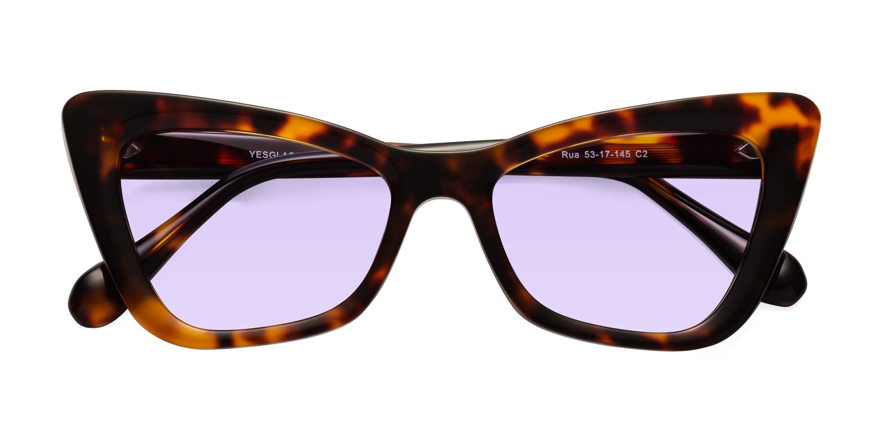 Folded Front of Rua in Tortoise with Light Purple Tinted Lenses