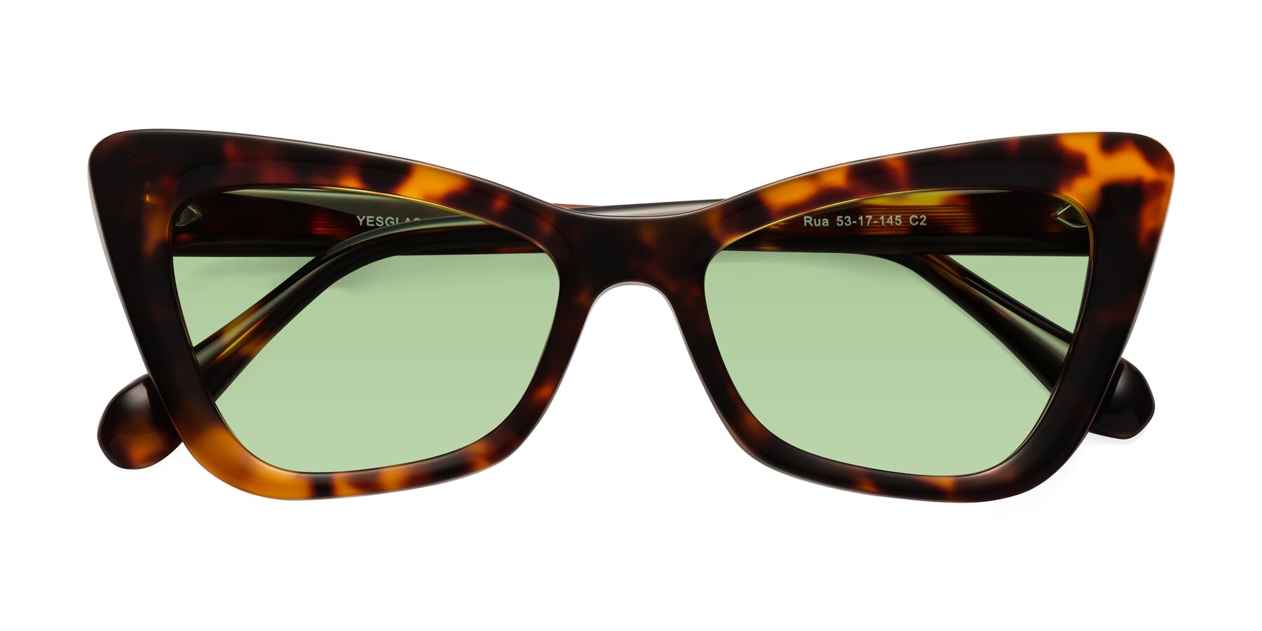 Folded Front of Rua in Tortoise with Medium Green Tinted Lenses