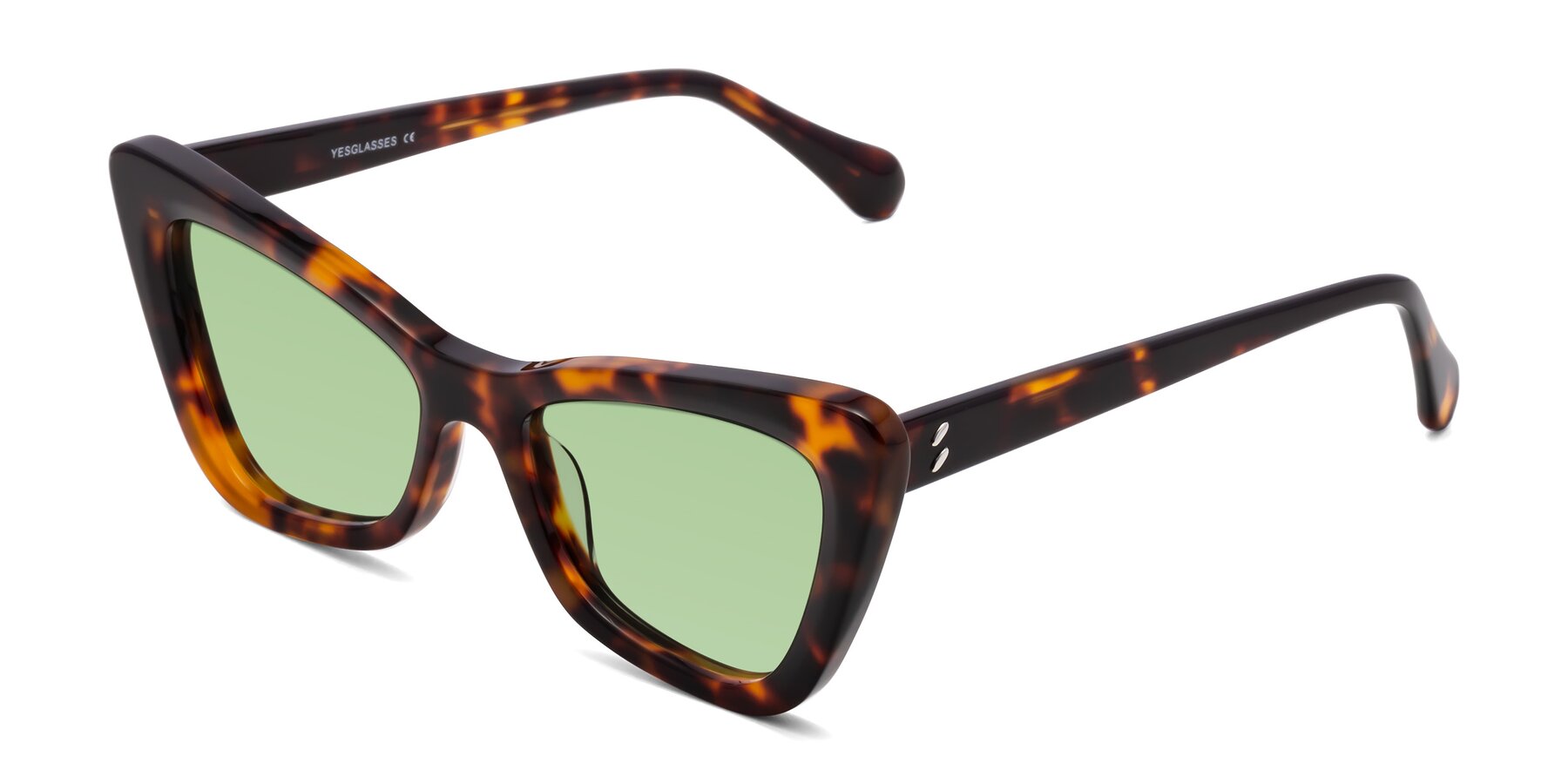Angle of Rua in Tortoise with Medium Green Tinted Lenses