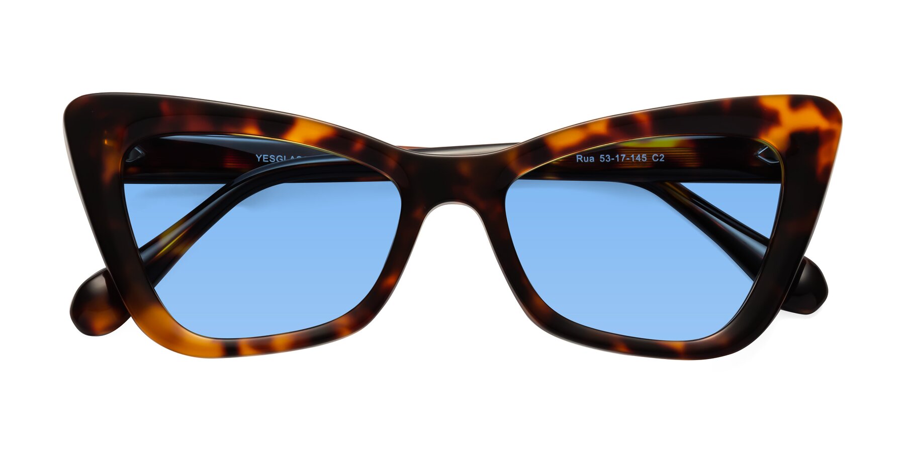 Folded Front of Rua in Tortoise with Medium Blue Tinted Lenses