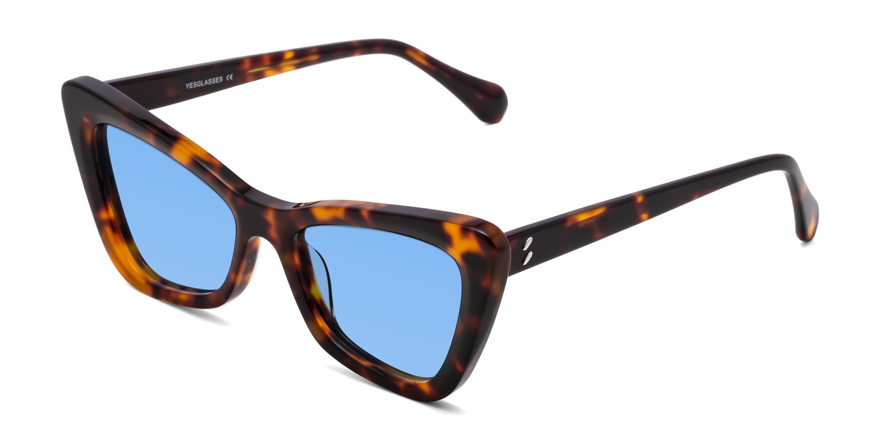 Angle of Rua in Tortoise with Medium Blue Tinted Lenses
