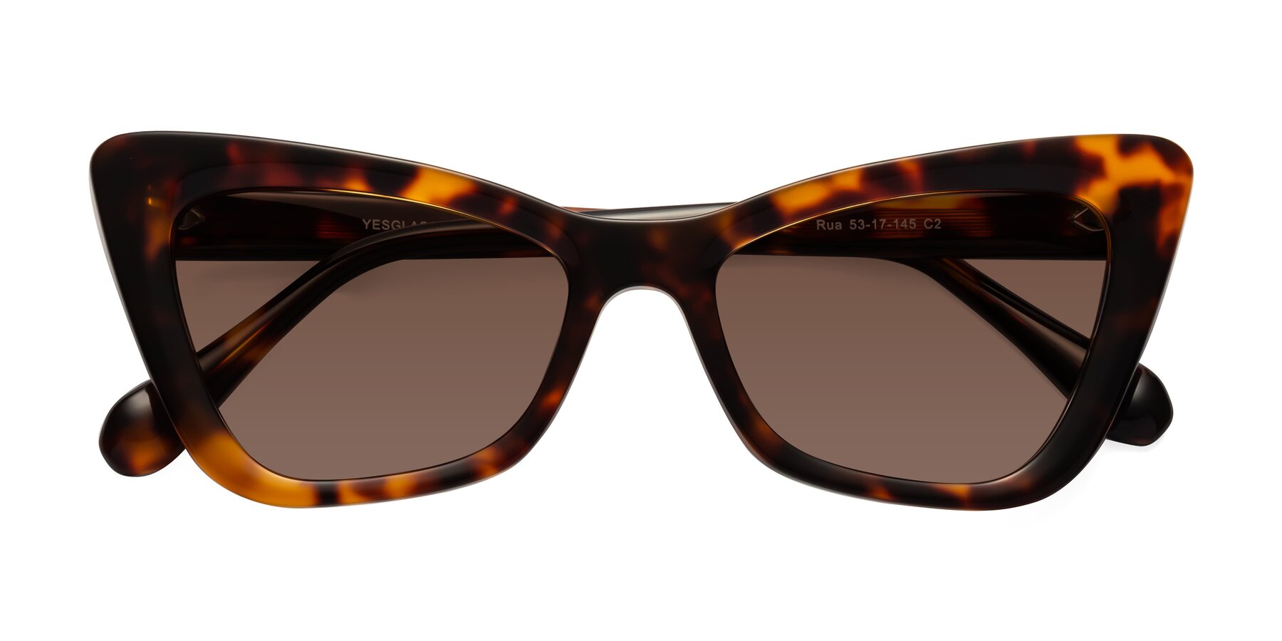 Folded Front of Rua in Tortoise with Brown Tinted Lenses