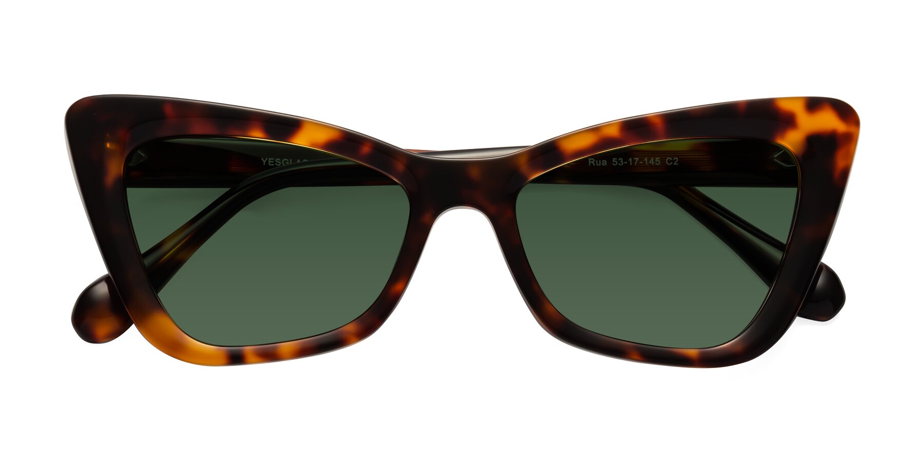 Folded Front of Rua in Tortoise with Green Tinted Lenses