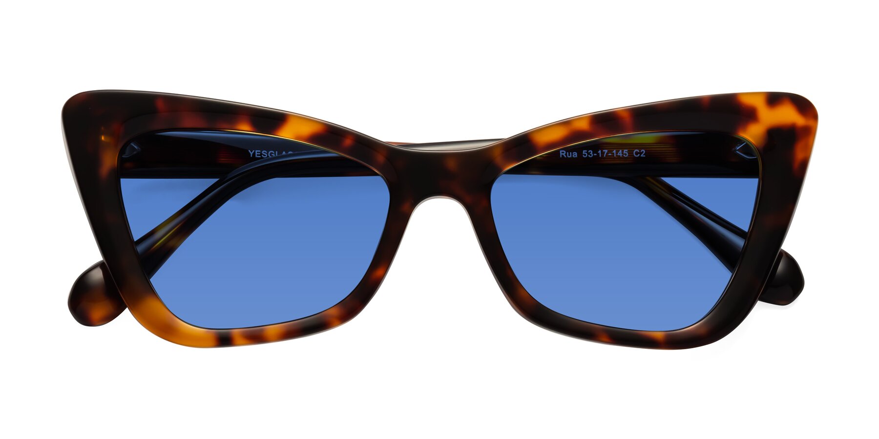 Folded Front of Rua in Tortoise with Blue Tinted Lenses