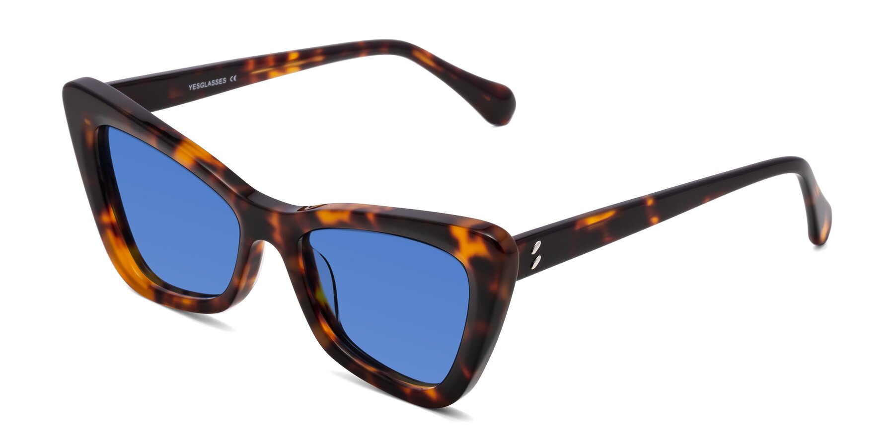 Angle of Rua in Tortoise with Blue Tinted Lenses