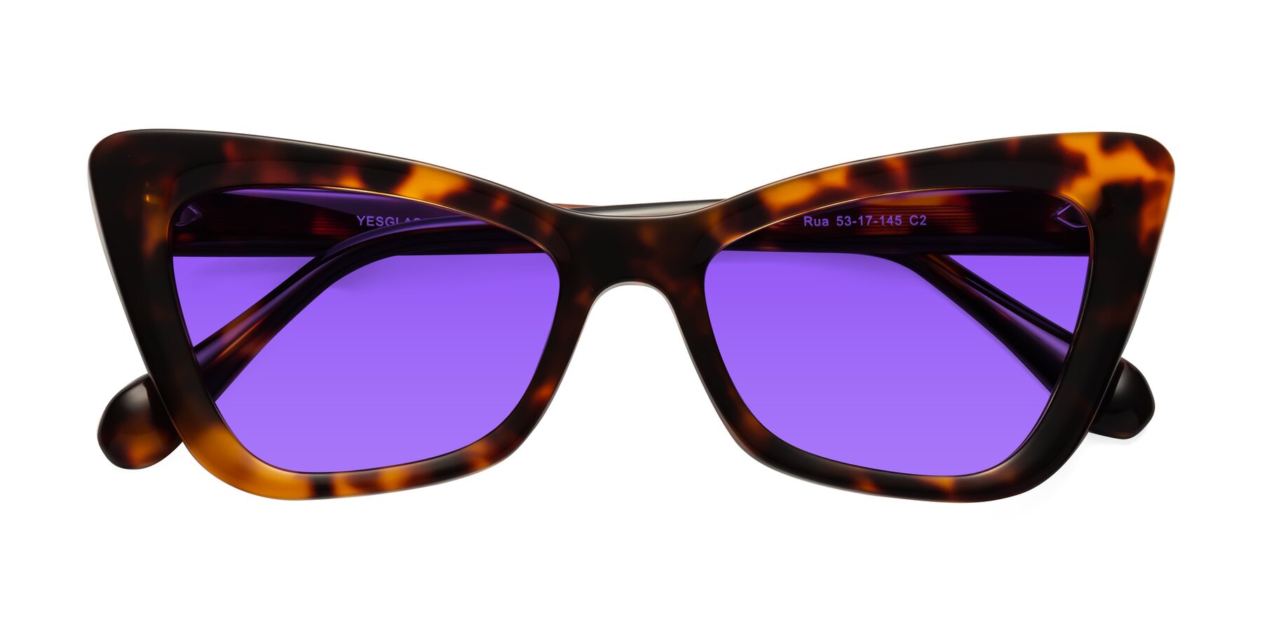 Folded Front of Rua in Tortoise with Purple Tinted Lenses