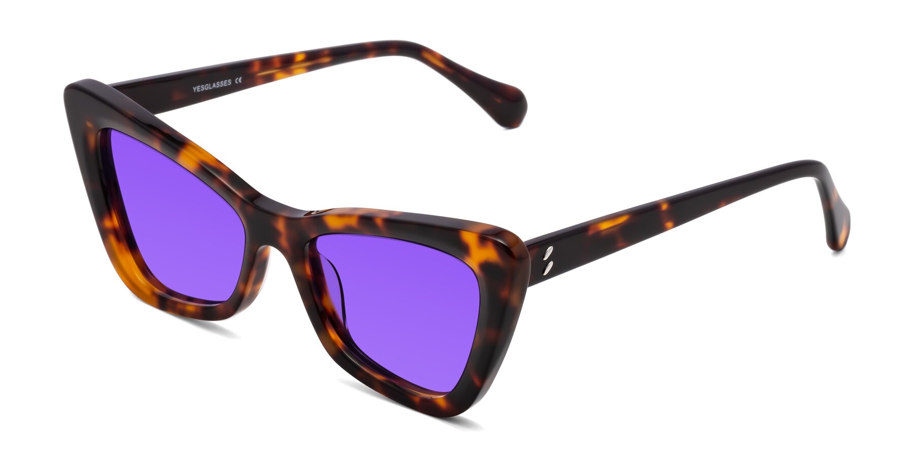 Angle of Rua in Tortoise with Purple Tinted Lenses