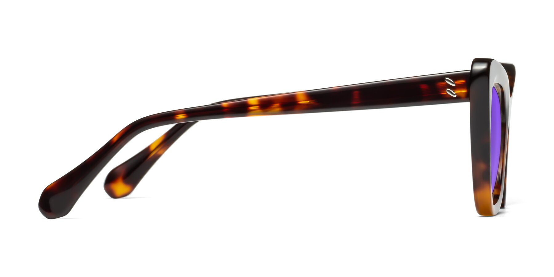 Side of Rua in Tortoise with Purple Tinted Lenses