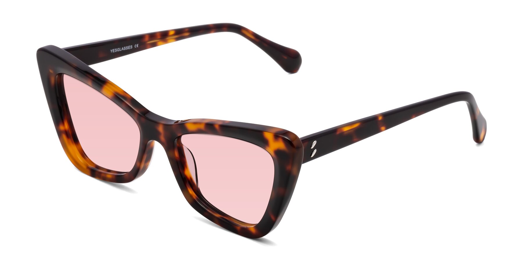 Angle of Rua in Tortoise with Light Garnet Tinted Lenses