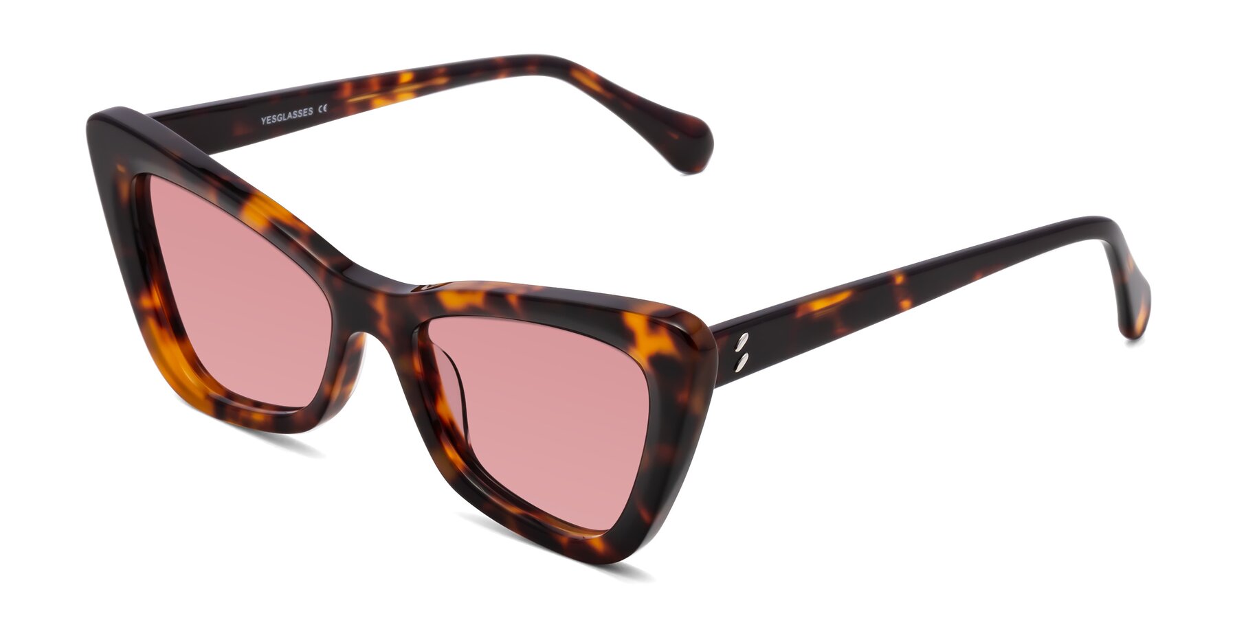 Angle of Rua in Tortoise with Medium Garnet Tinted Lenses