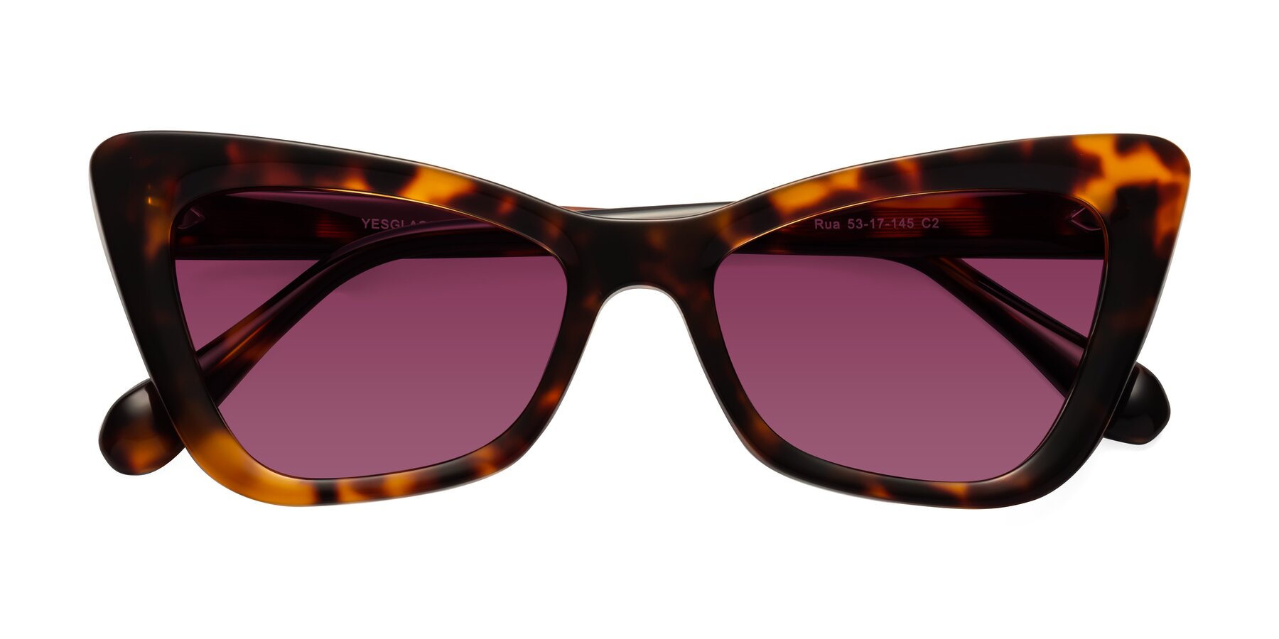 Folded Front of Rua in Tortoise with Wine Tinted Lenses