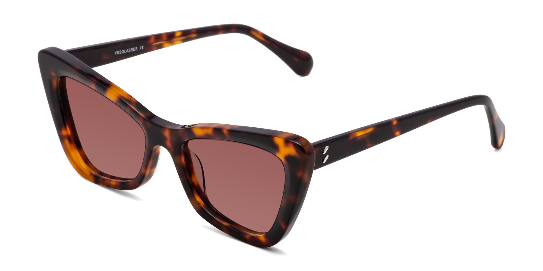 Angle of Rua in Tortoise with Garnet Tinted Lenses