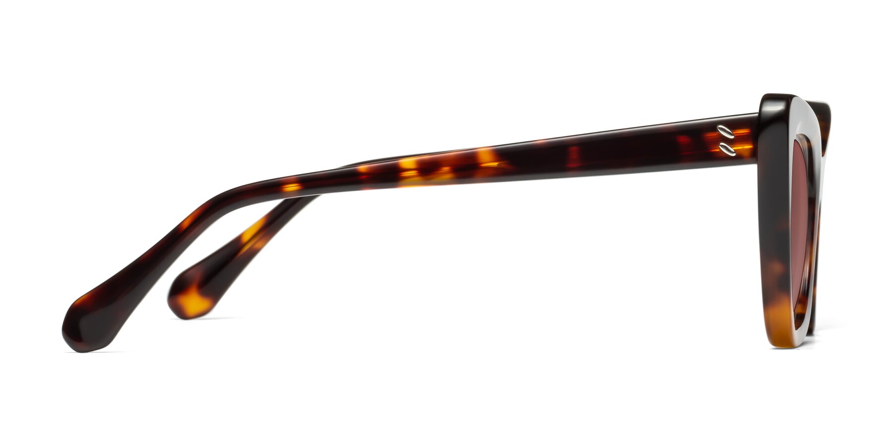 Side of Rua in Tortoise with Garnet Tinted Lenses