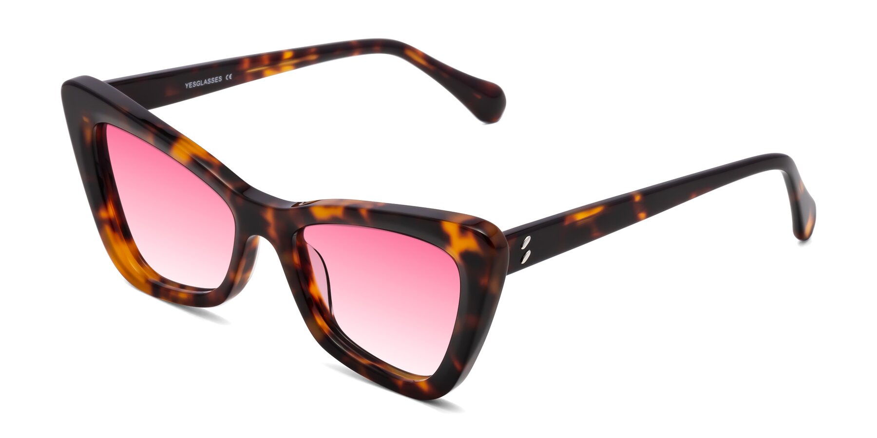 Angle of Rua in Tortoise with Pink Gradient Lenses