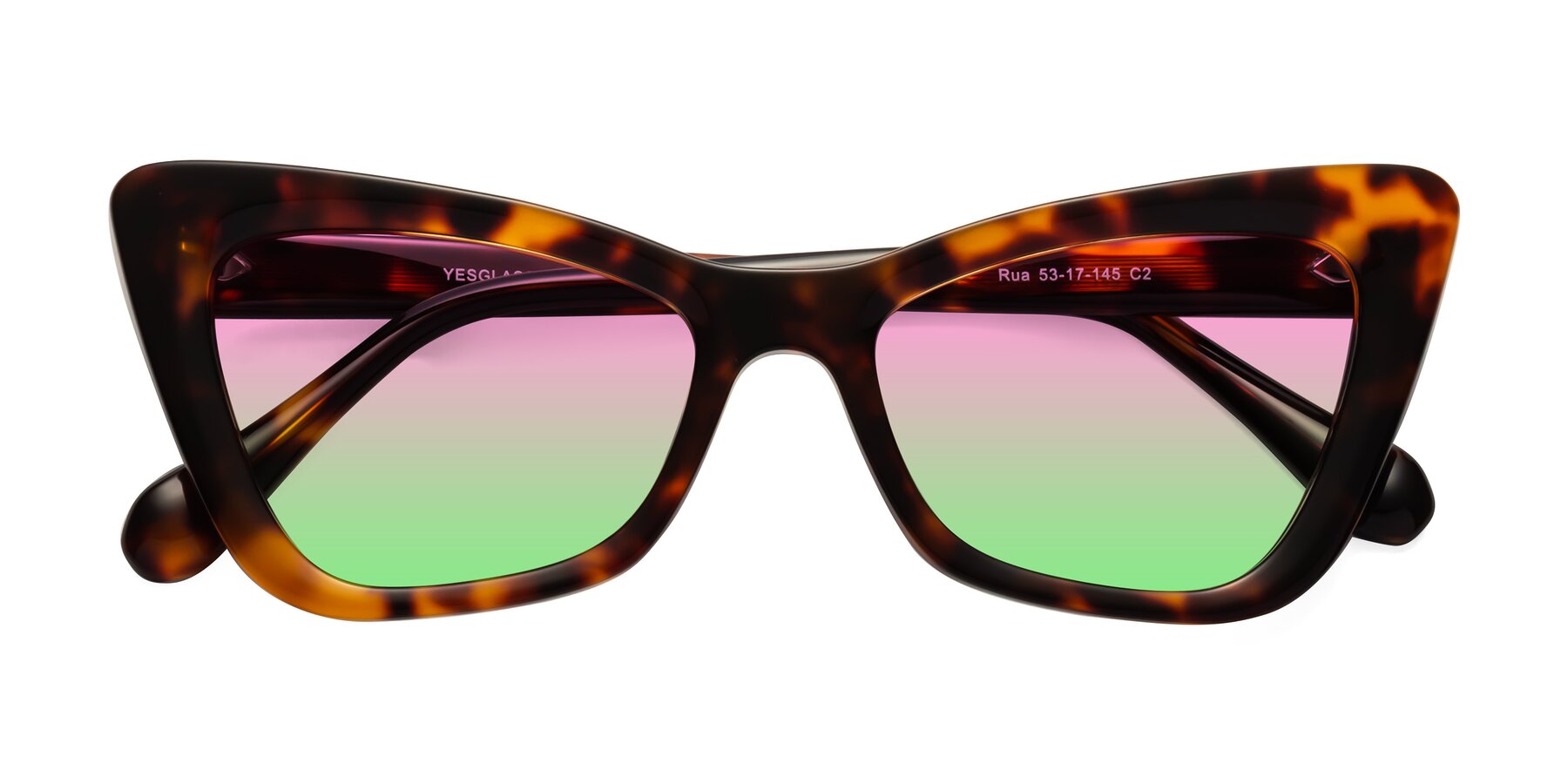 Folded Front of Rua in Tortoise with Pink / Green Gradient Lenses