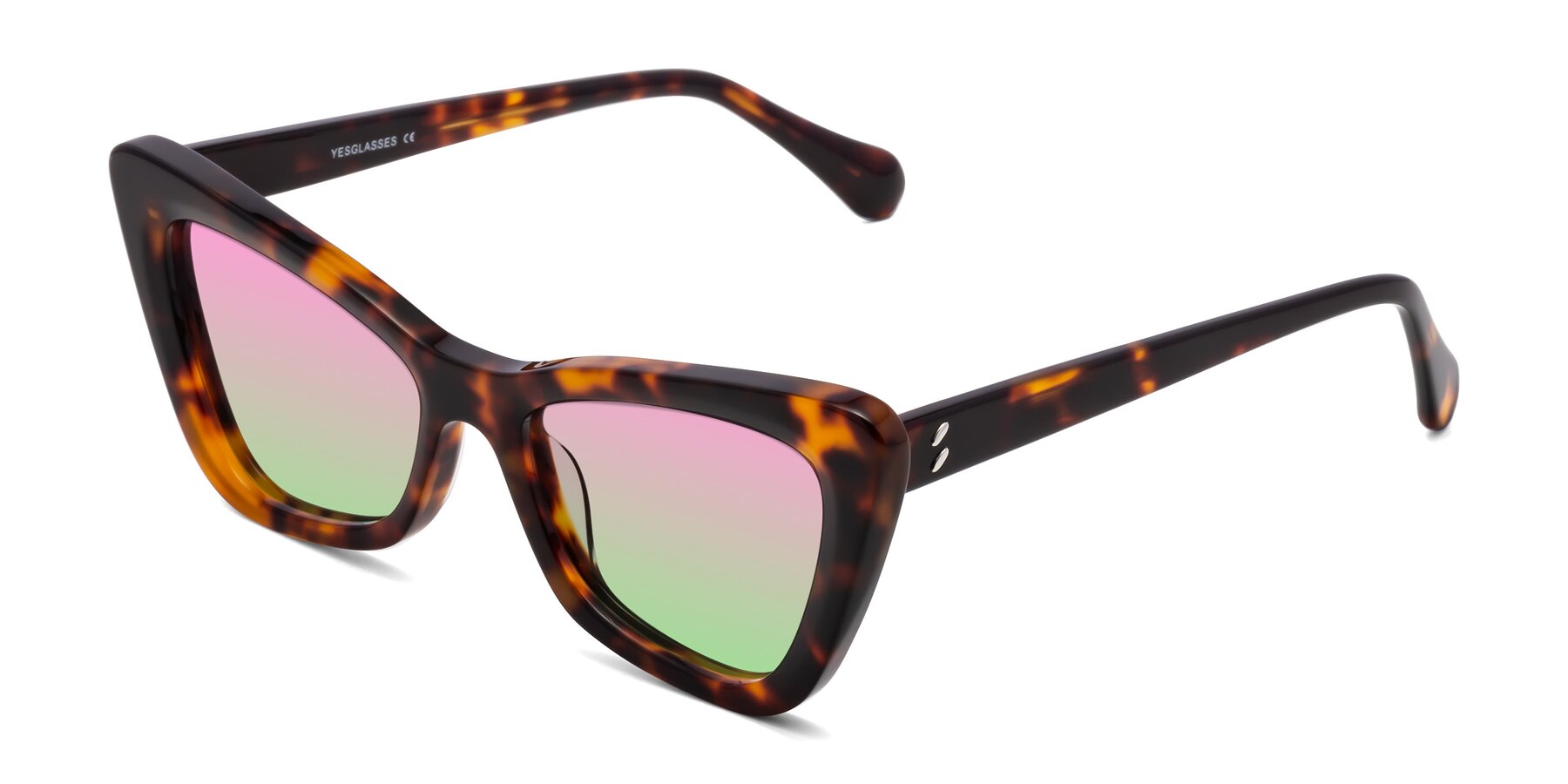 Angle of Rua in Tortoise with Pink / Green Gradient Lenses